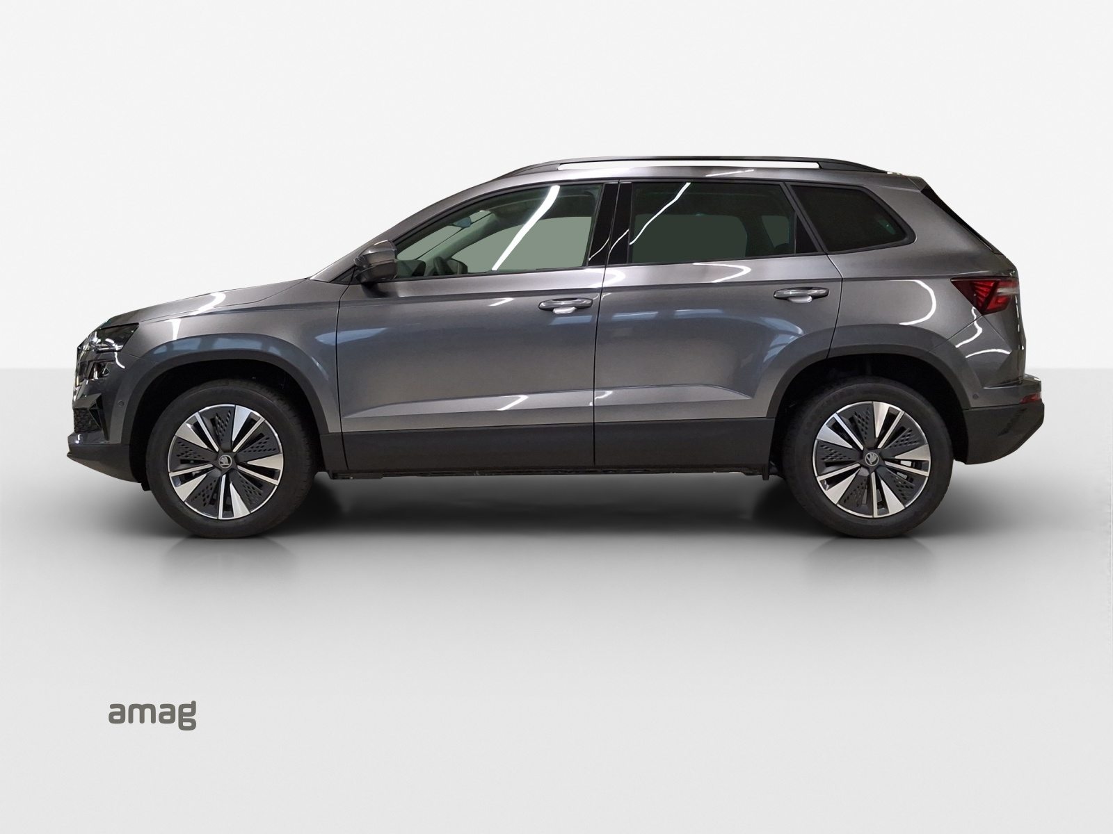 SKODA Karoq Dynamic (Netto), Benzin, Neuwagen, Automatik - 2