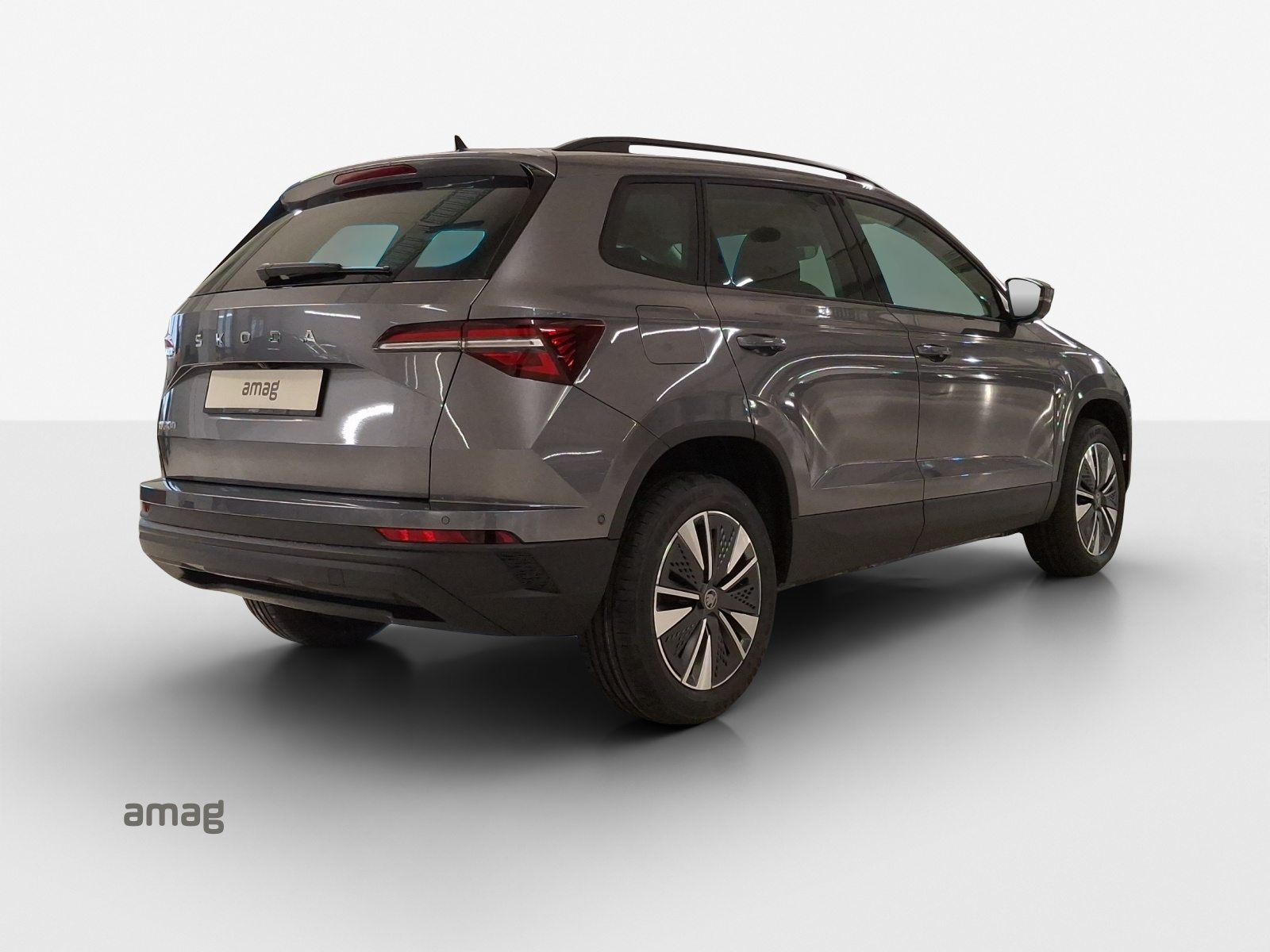 SKODA Karoq Dynamic (Netto), Benzin, Neuwagen, Automatik - 5