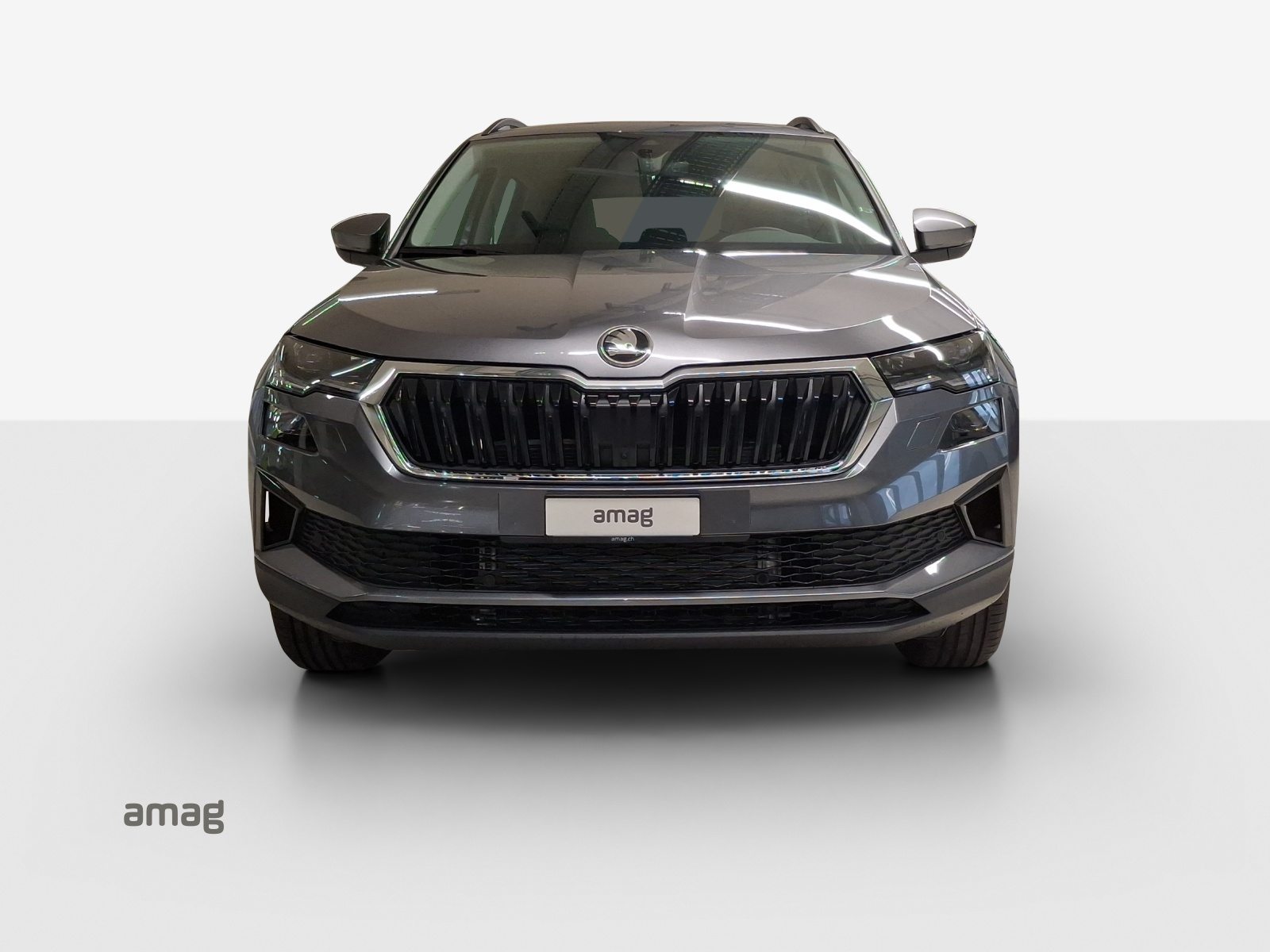 SKODA Karoq Dynamic (Netto), Benzin, Neuwagen, Automatik - 7