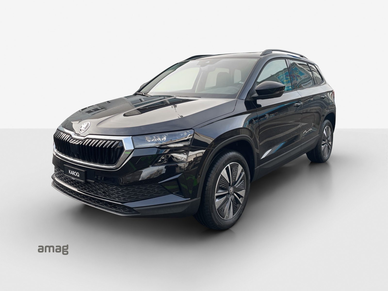 SKODA Karoq Dynamic (Netto)