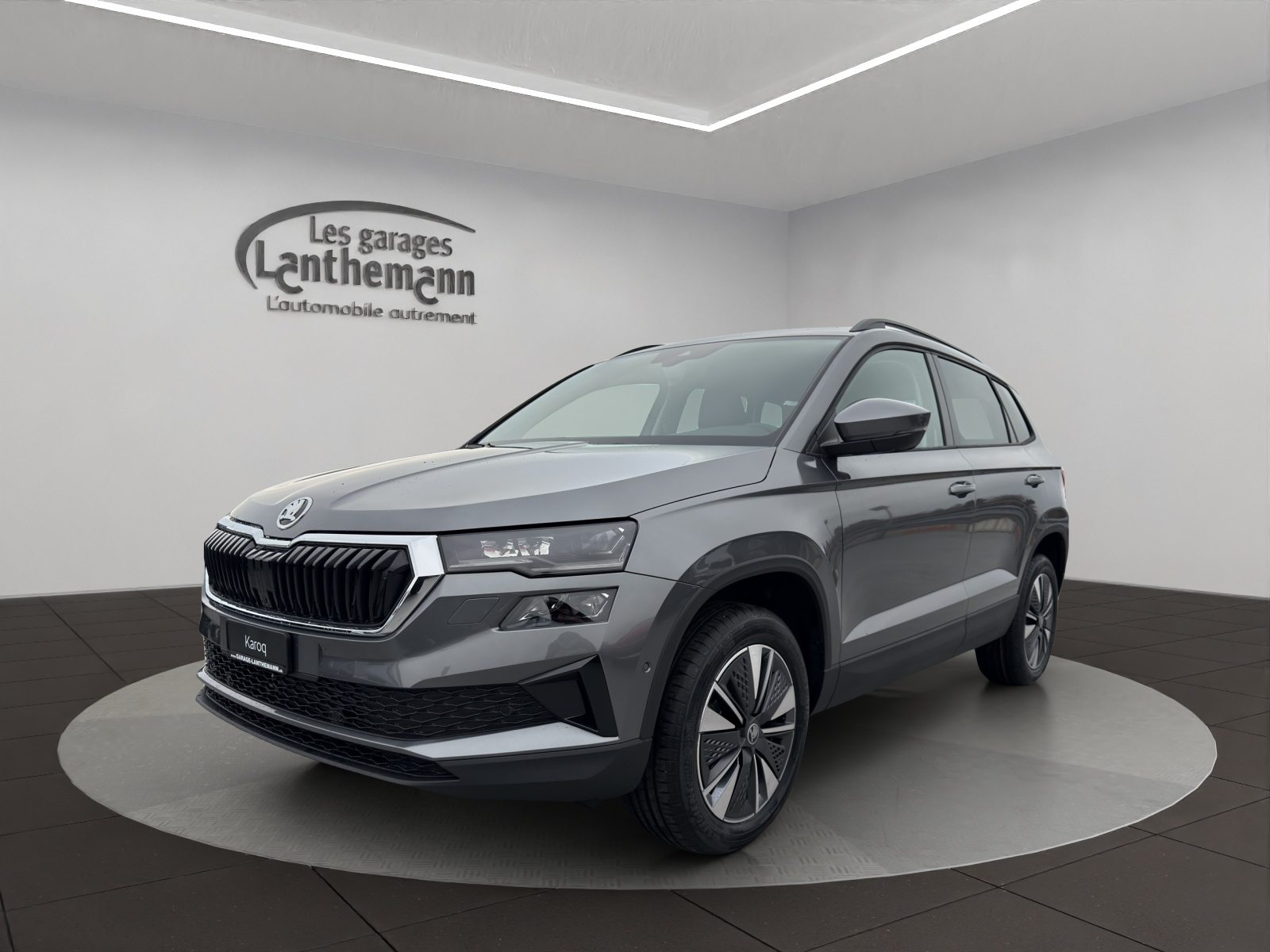 SKODA Karoq Dynamic (Netto)