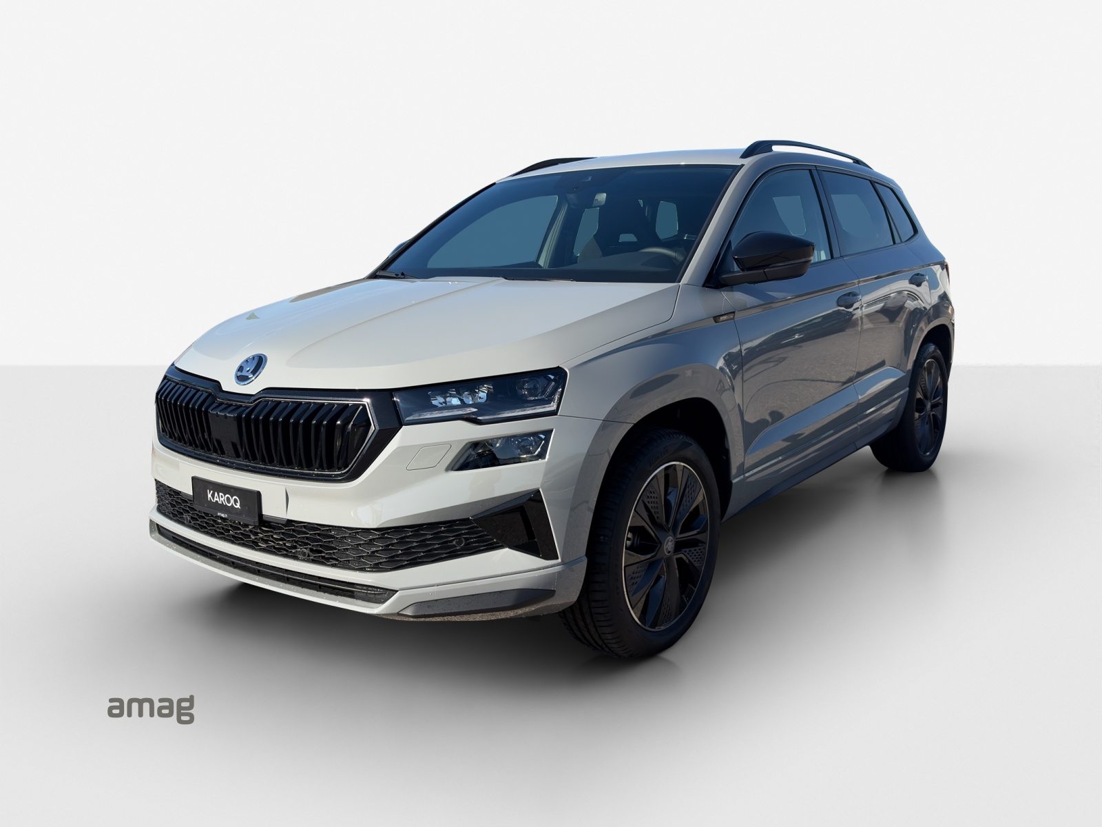 SKODA Karoq «Dynamic» Limited Edition (Netto)