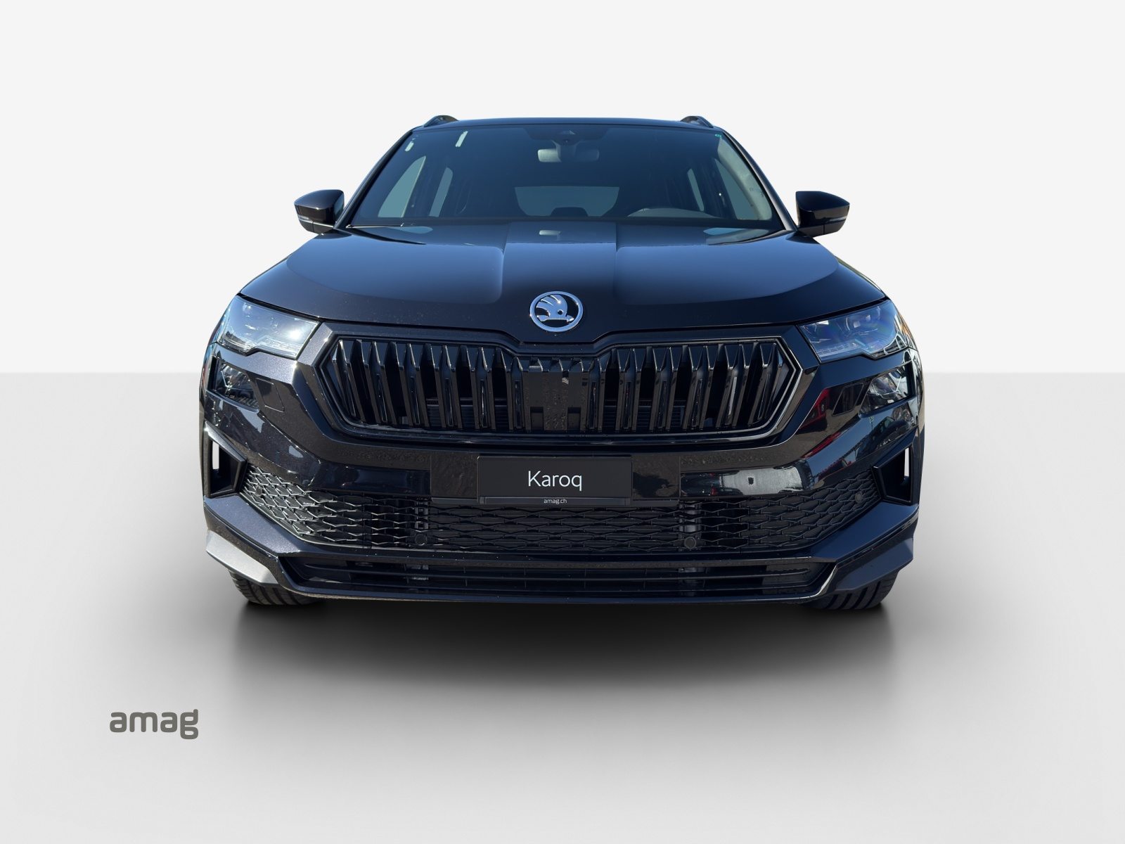 SKODA Karoq «Dynamic» Limited Edition (Netto), Benzin, Neuwagen, Automatik - 7