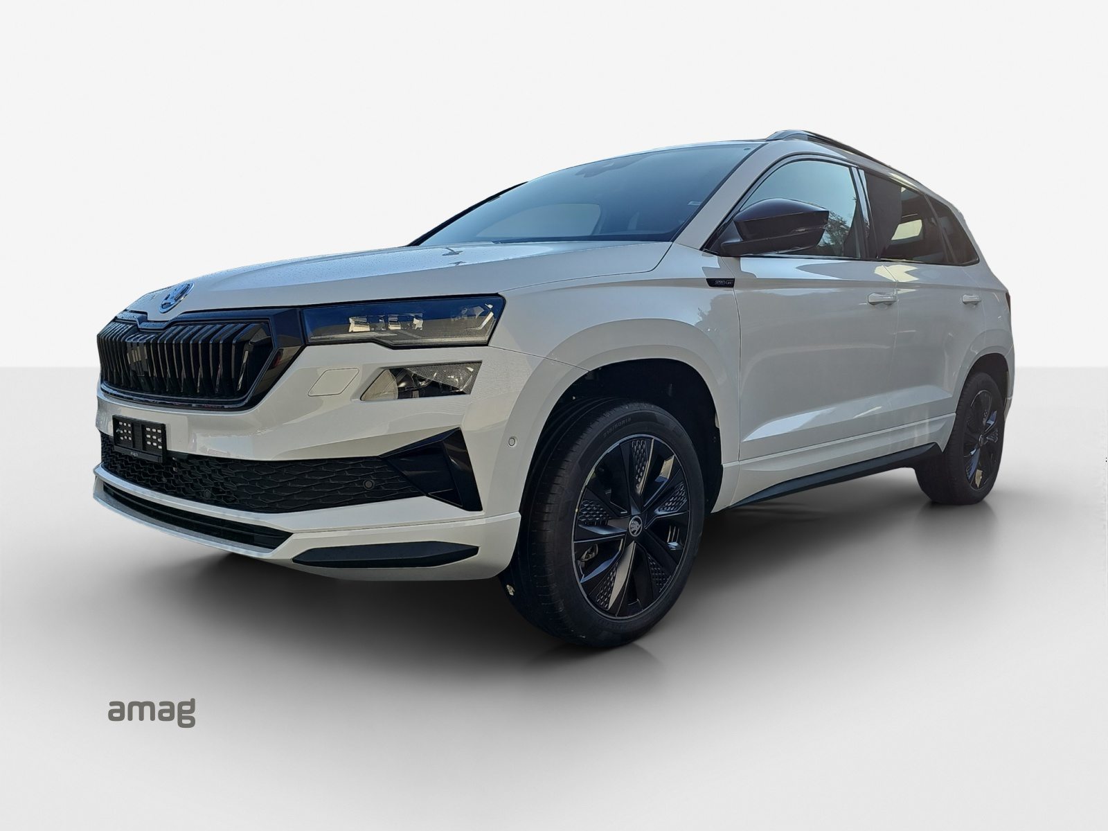 SKODA Karoq «Dynamic» Limited Edition (Netto)