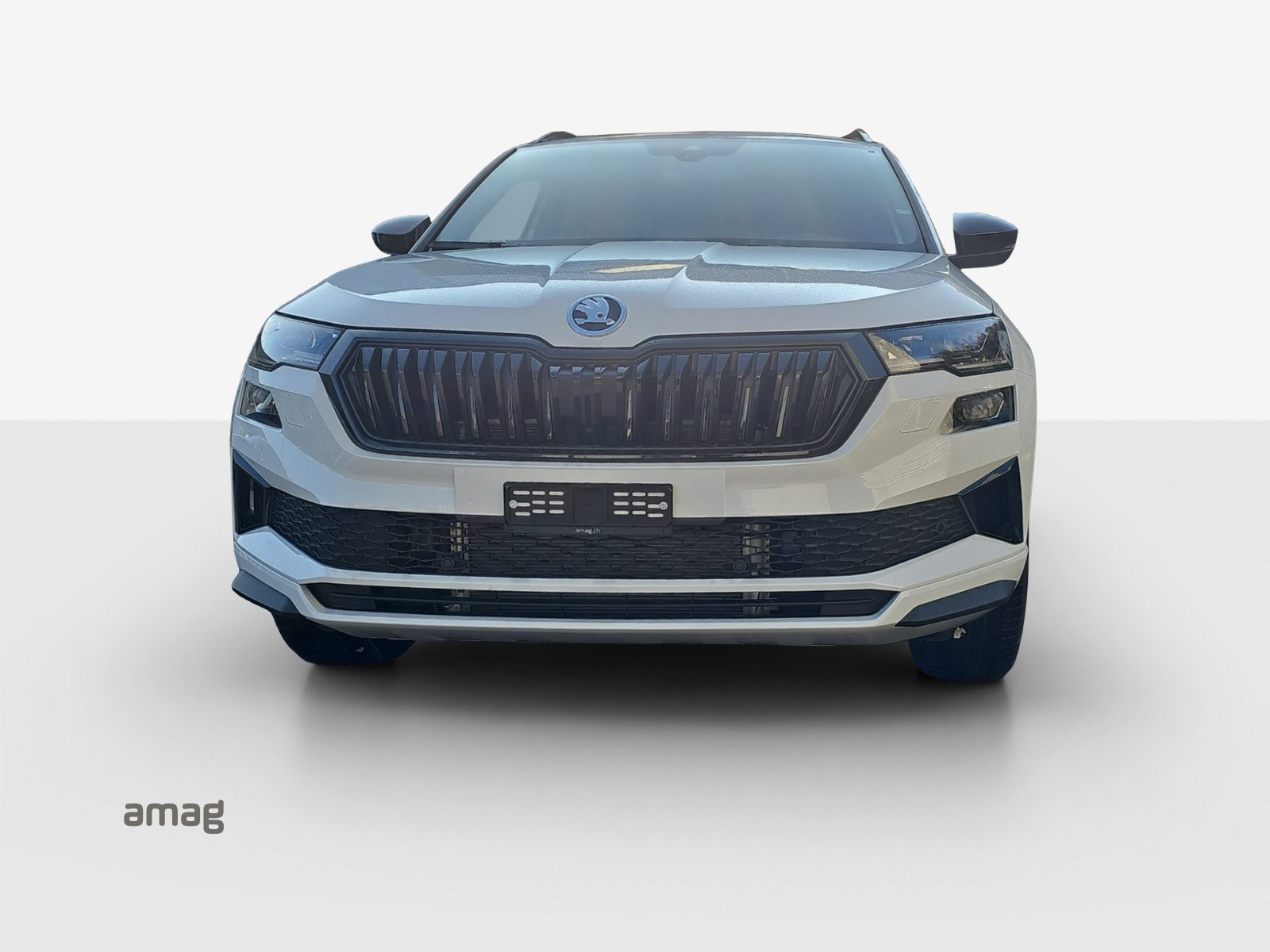 SKODA Karoq «Dynamic» Limited Edition (Netto), Benzina, Auto nuove, Automatico - 7