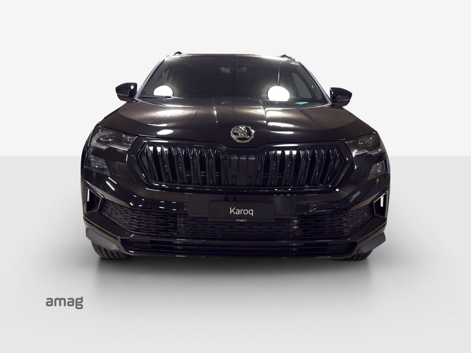 SKODA Karoq «Dynamic» Limited Edition (Netto), Benzin, Neuwagen, Automatik - 7