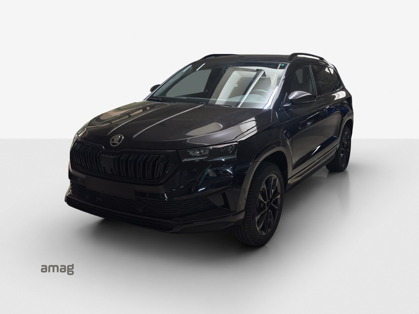 SKODA Karoq «Dynamic» Limited Edition (Netto)