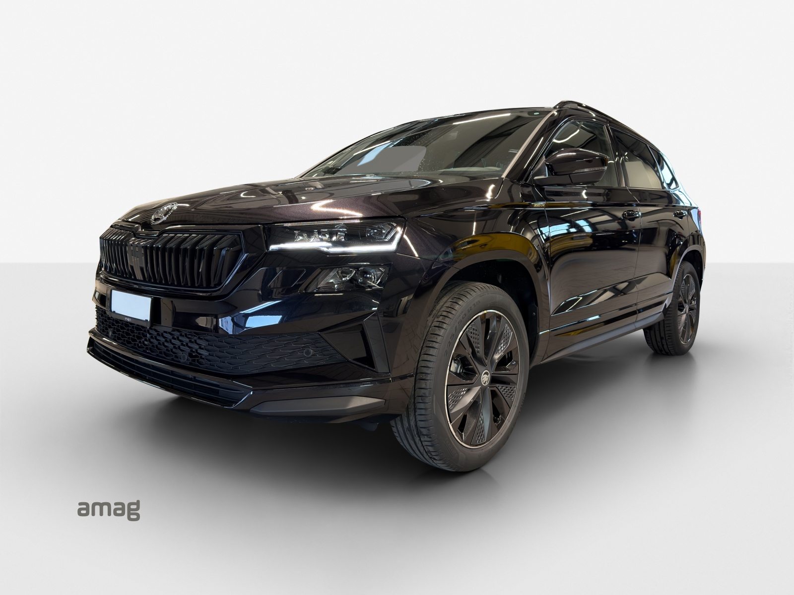 SKODA Karoq «Dynamic» Limited Edition (Netto)