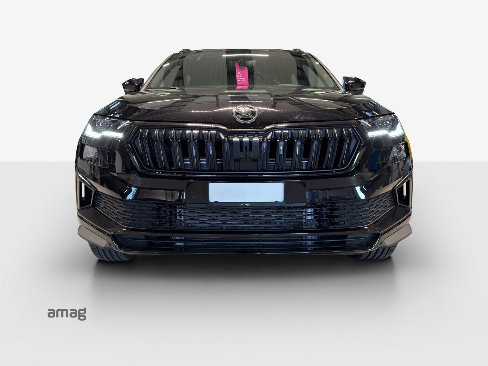 SKODA Karoq «Dynamic» Limited Edition (Netto), Benzina, Auto nuove, Automatico - 7