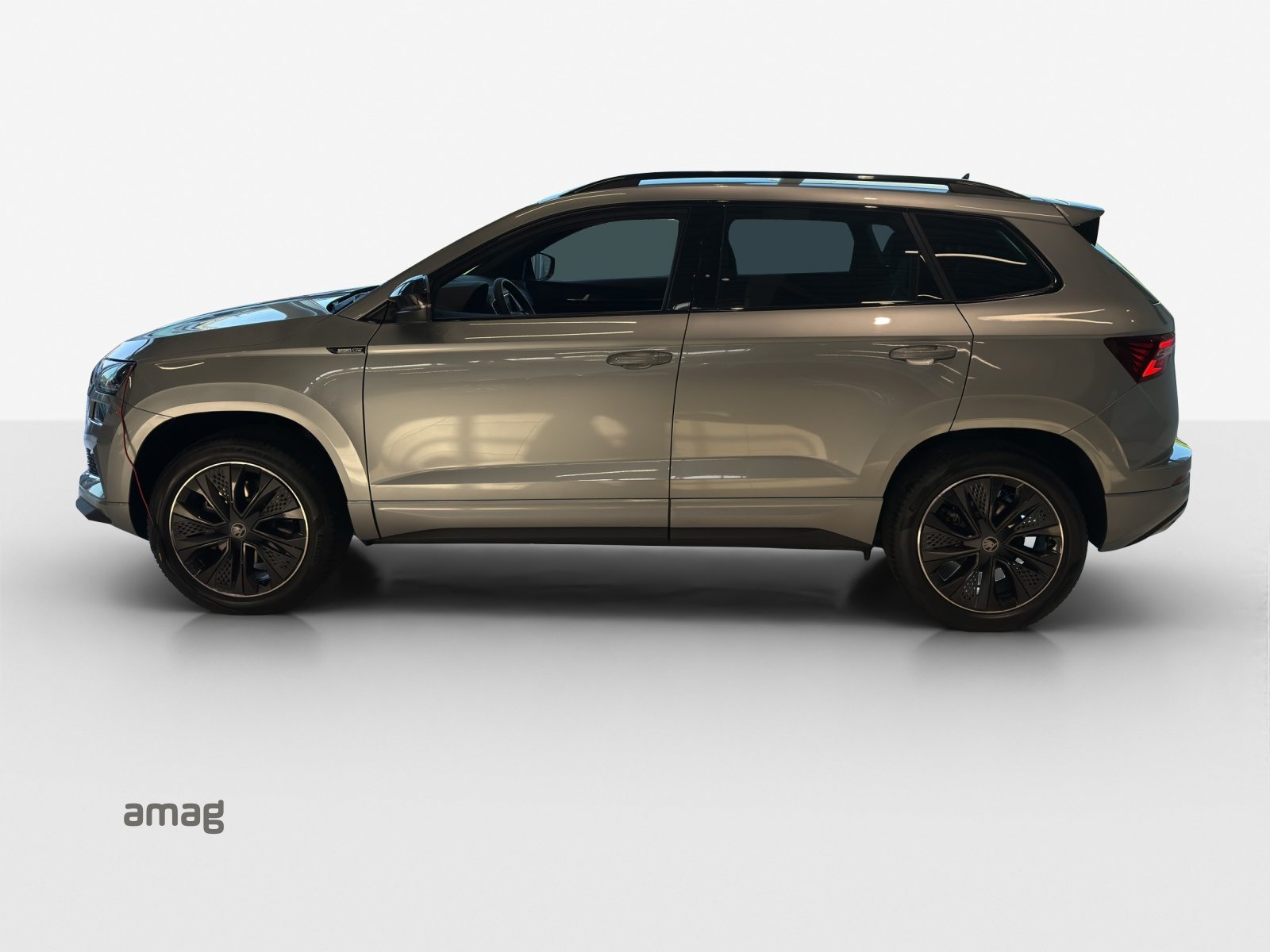 SKODA Karoq «Dynamic» Limited Edition (Netto), Petrol, New car, Automatic - 2
