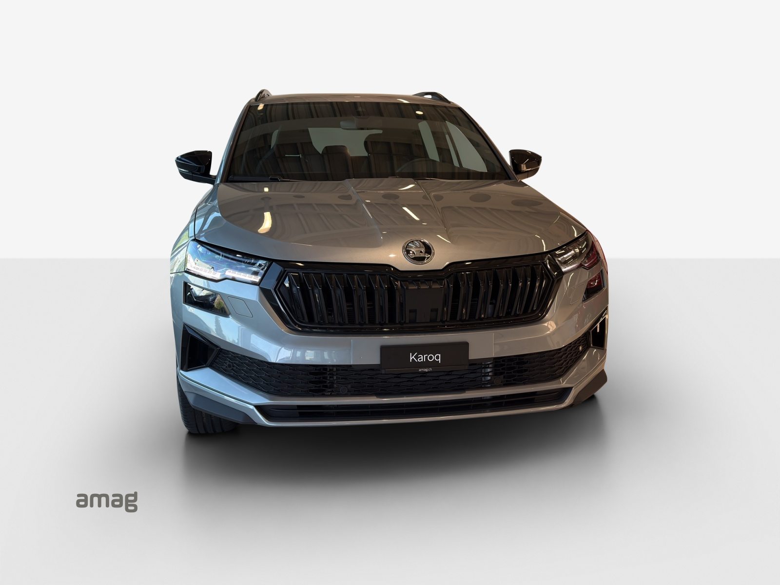 SKODA Karoq «Dynamic» Limited Edition (Netto), Petrol, New car, Automatic - 6