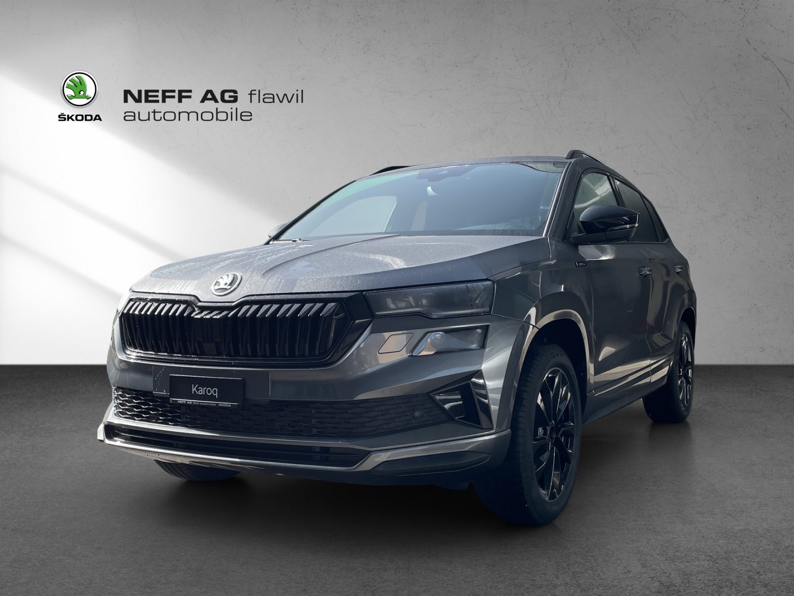 SKODA Karoq «Dynamic» Limited Edition (Netto)