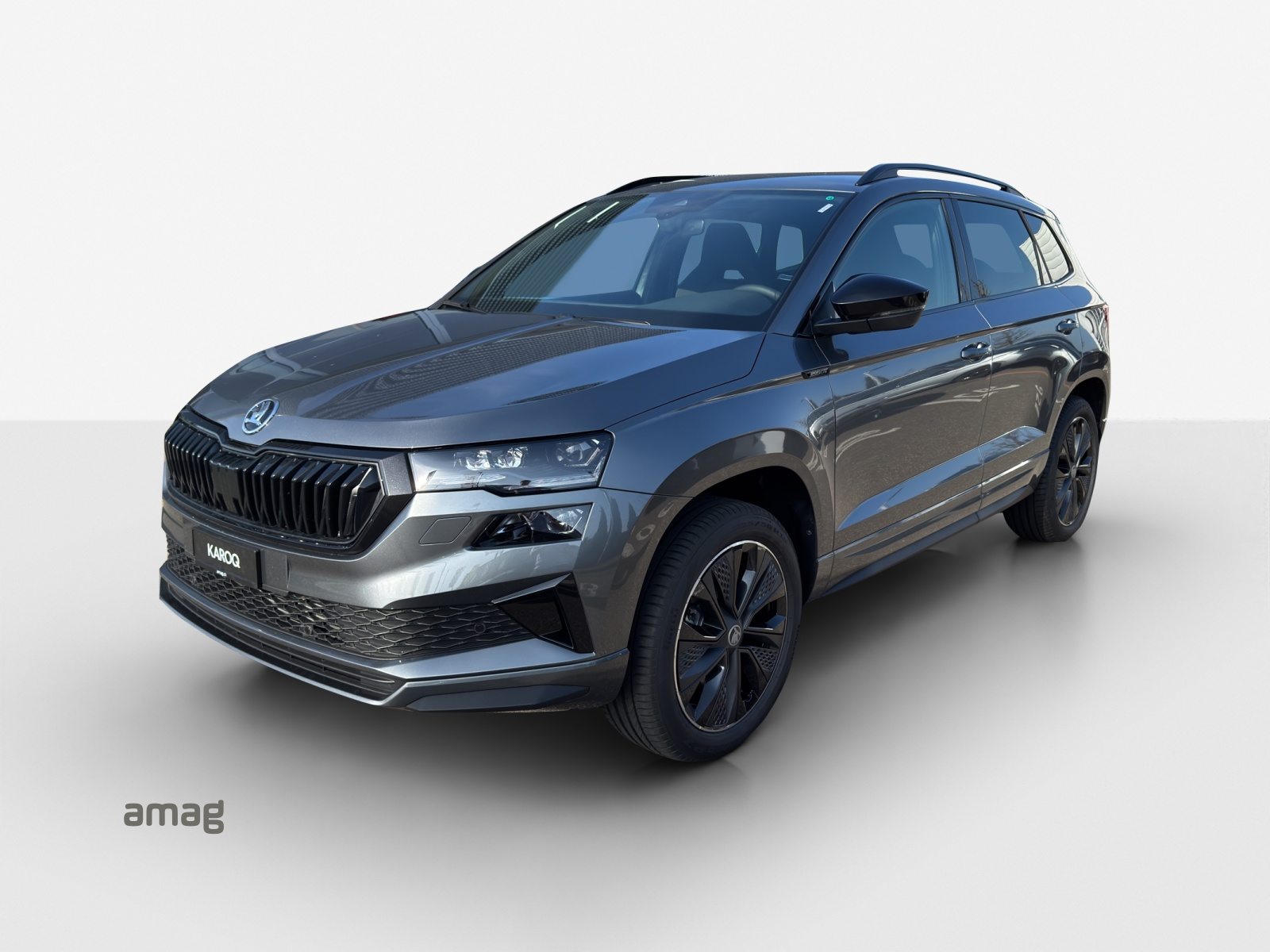SKODA Karoq «Dynamic» Limited Edition (Netto)
