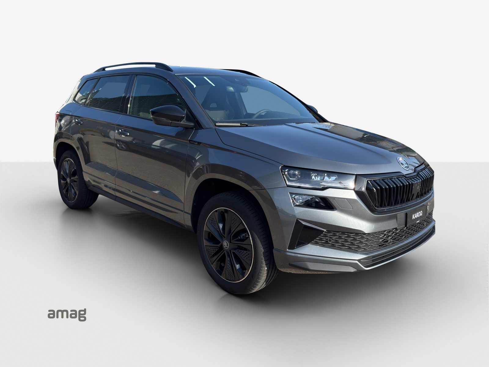 SKODA Karoq «Dynamic» Limited Edition (Netto), Essence, Voiture nouvelle, Automatique - 6