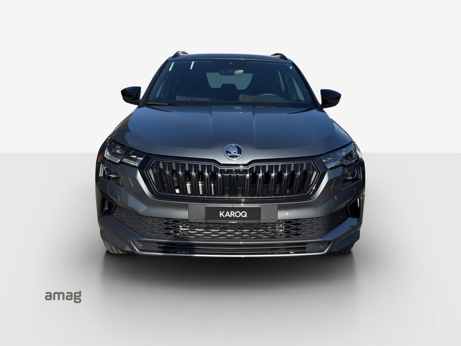 SKODA Karoq «Dynamic» Limited Edition (Netto), Essence, Voiture nouvelle, Automatique - 7