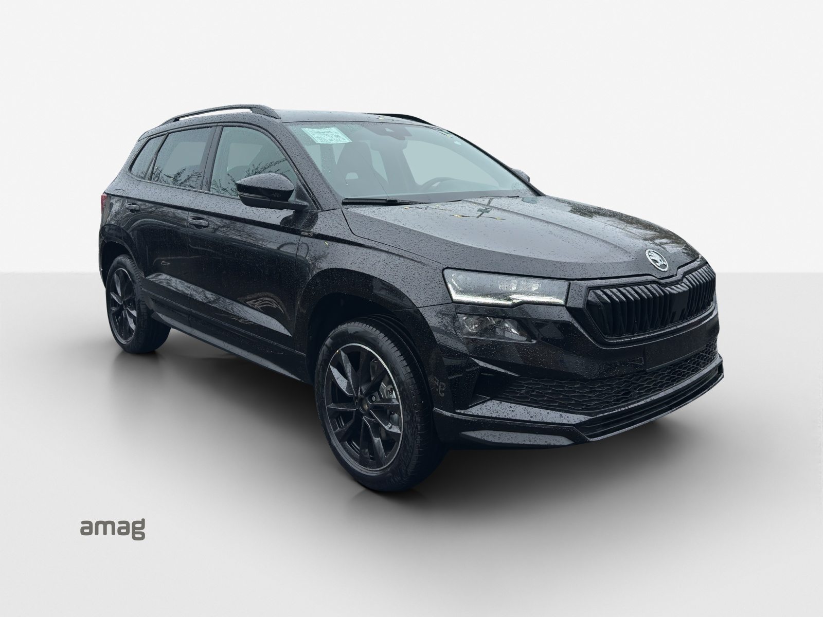 SKODA Karoq «Dynamic» Limited Edition (Netto), Benzin, Neuwagen, Automatik - 6