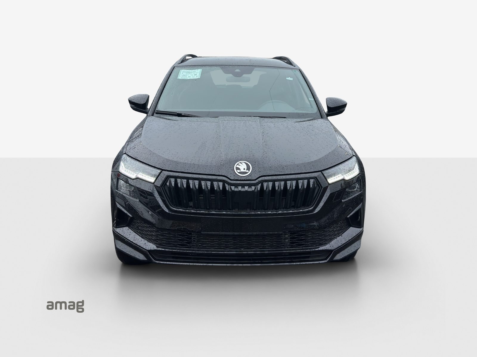 SKODA Karoq «Dynamic» Limited Edition (Netto), Benzin, Neuwagen, Automatik - 7