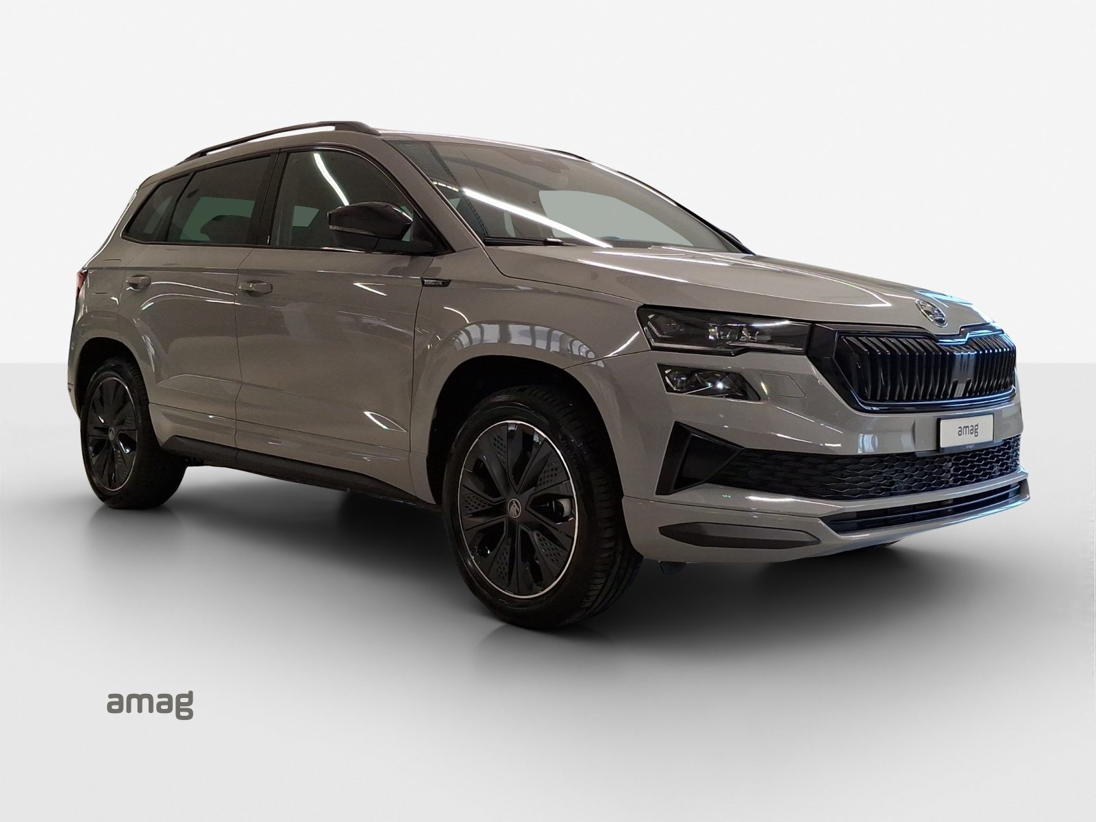 SKODA Karoq «Dynamic» Limited Edition (Netto), Benzin, Neuwagen, Automatik - 6