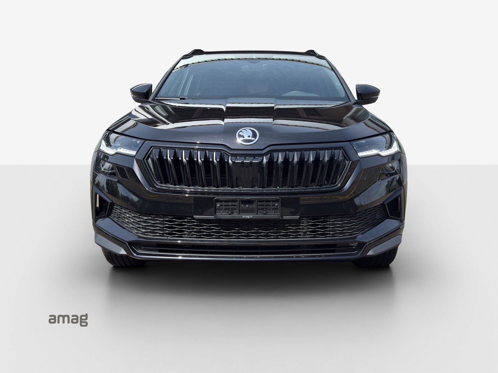 SKODA Karoq «Dynamic» Limited Edition (Netto), Benzina, Auto nuove, Automatico - 7