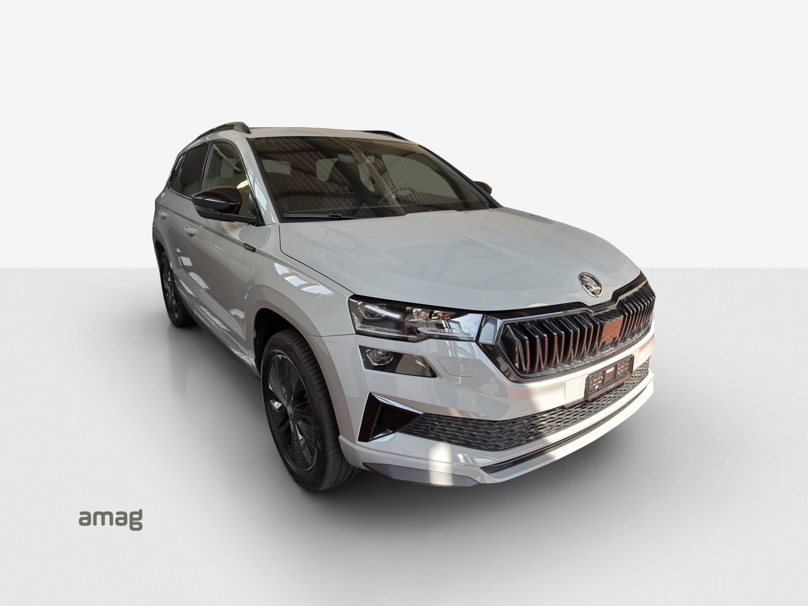 SKODA Karoq «Dynamic» Limited Edition (Netto), Benzin, Neuwagen, Automatik - 6