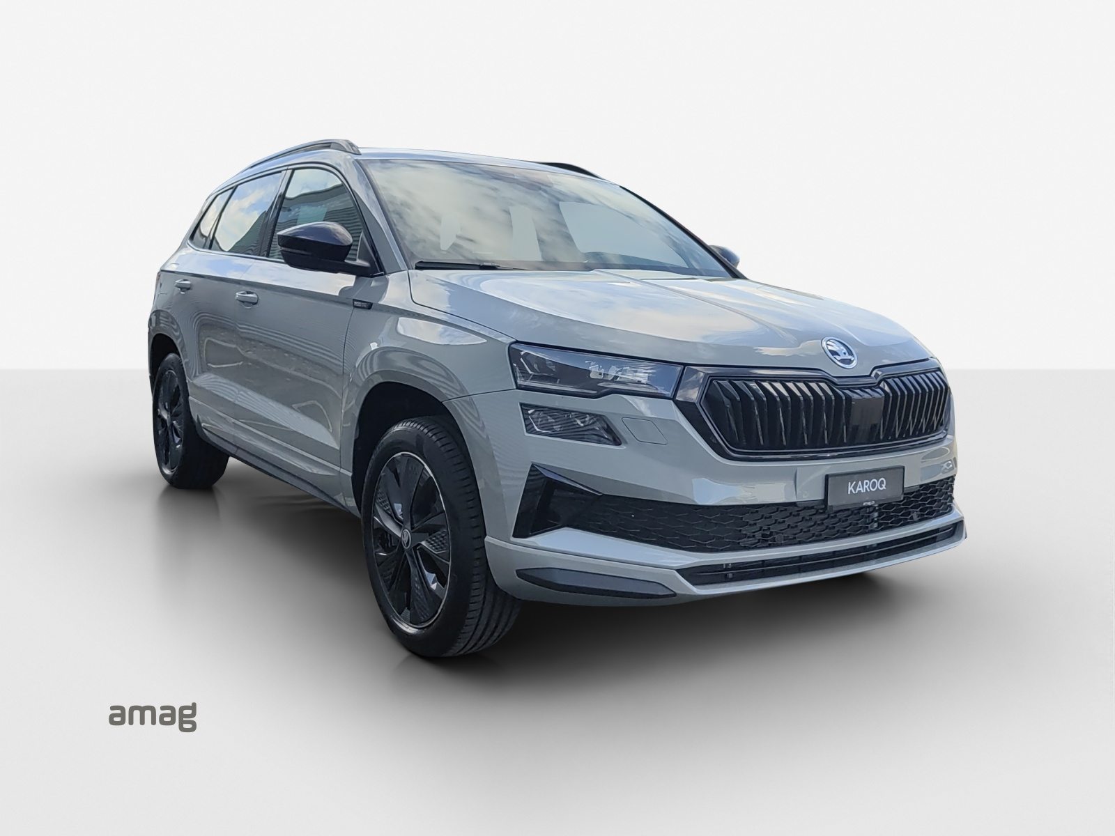 SKODA Karoq «Dynamic» Limited Edition (Netto), Benzina, Auto nuove, Automatico - 6