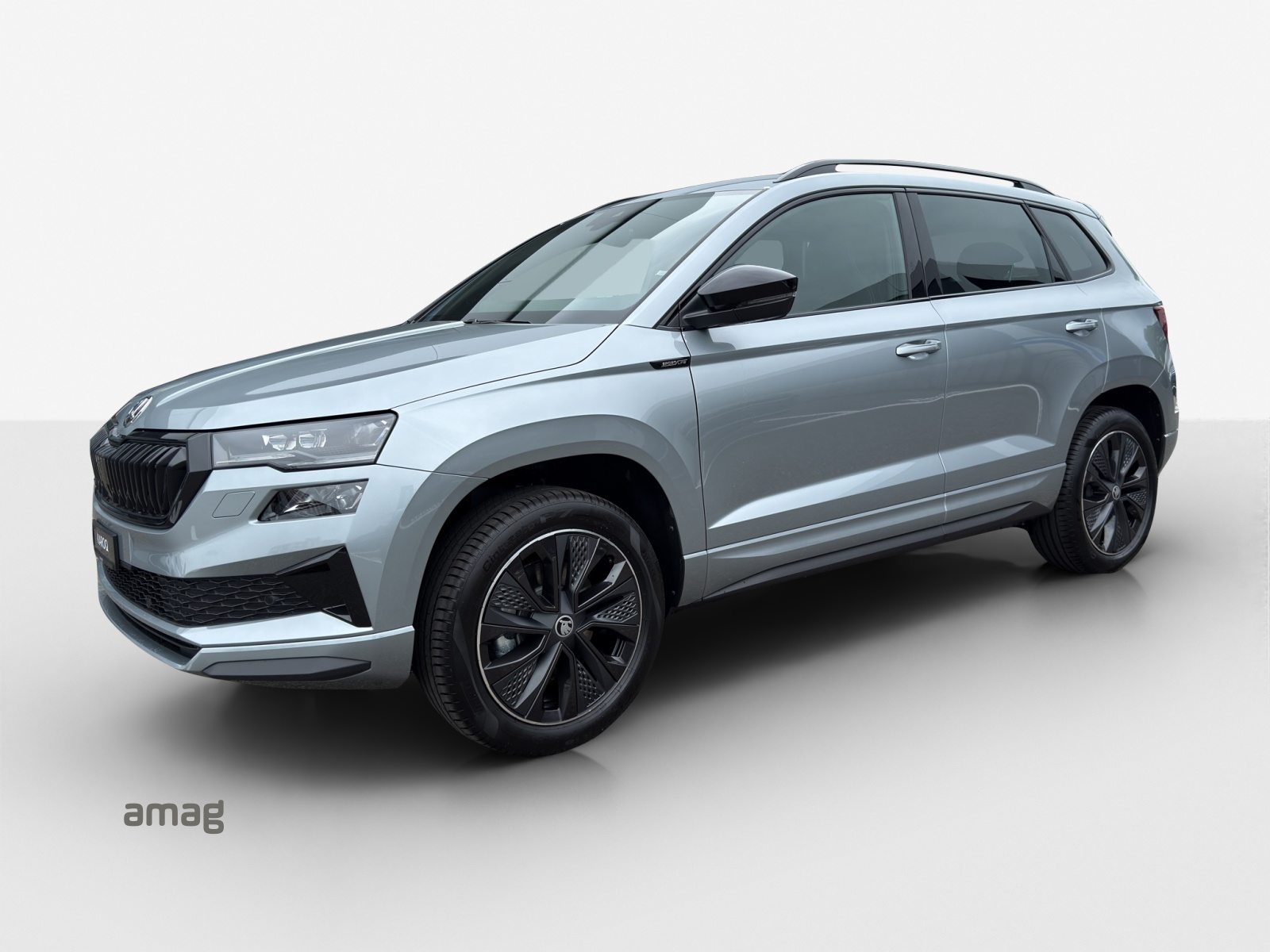 SKODA Karoq «Dynamic» Limited Edition (Netto), Essence, Voiture nouvelle, Automatique