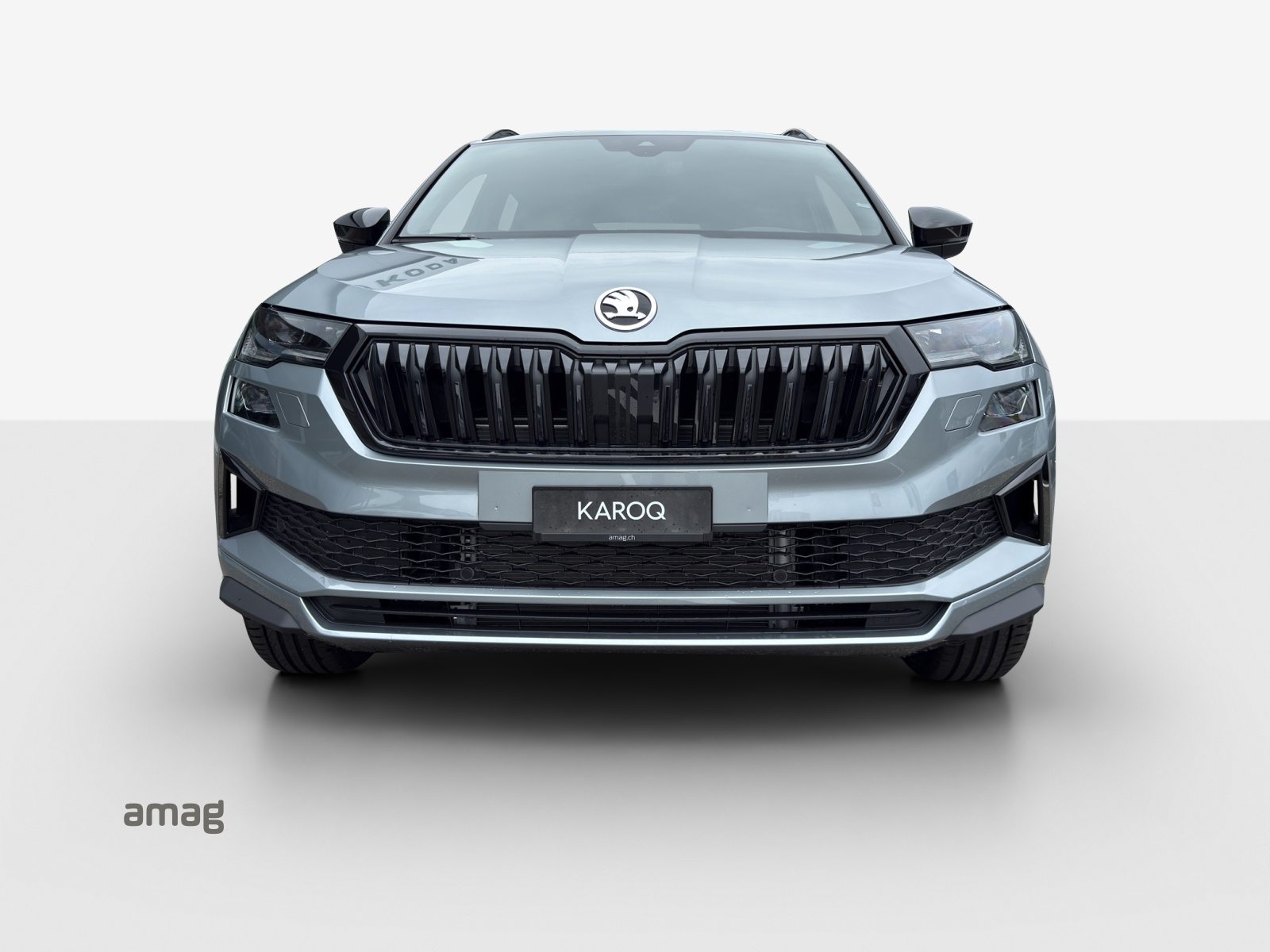 SKODA Karoq «Dynamic» Limited Edition (Netto), Essence, Voiture nouvelle, Automatique - 7