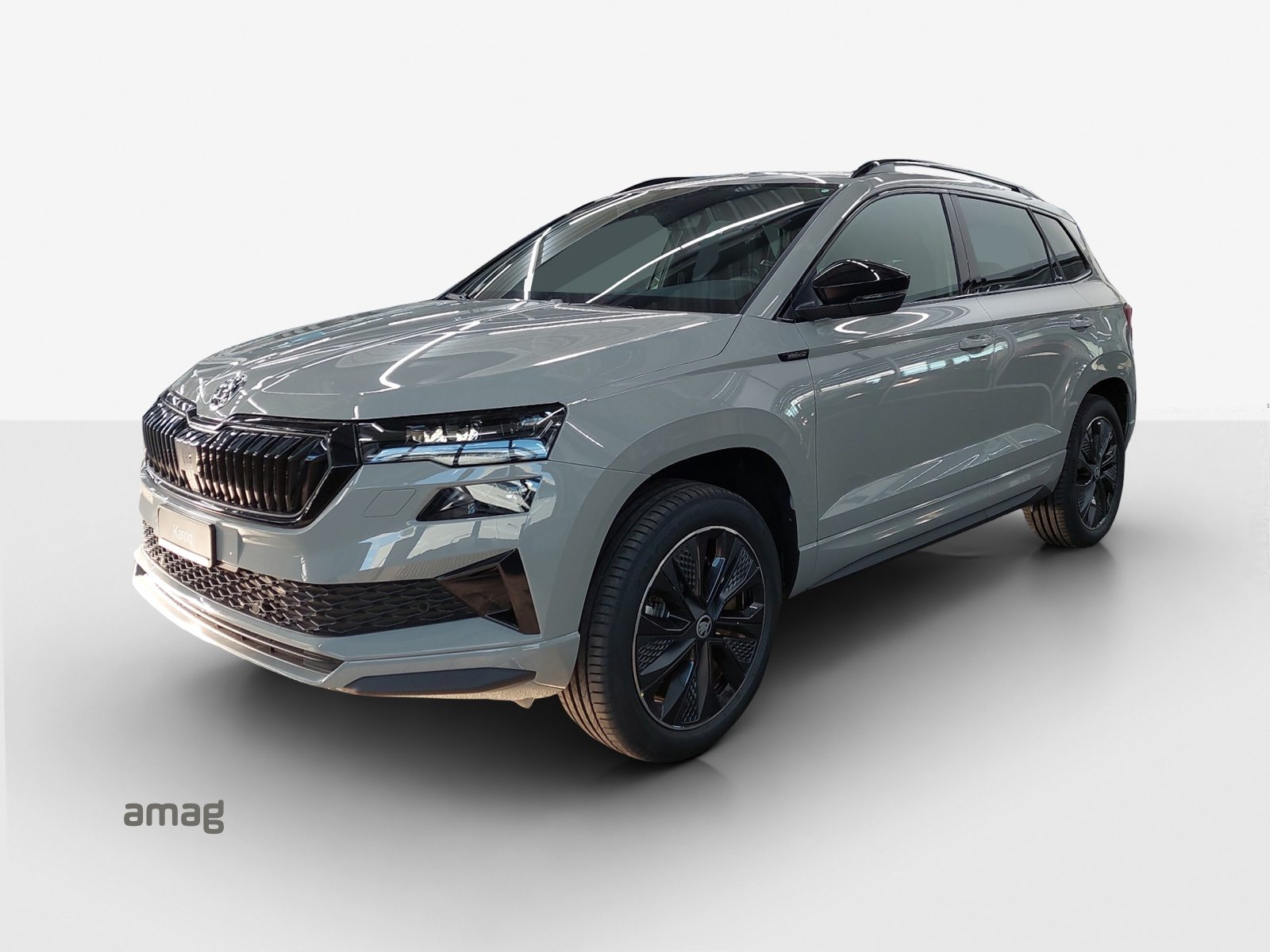 SKODA Karoq «Dynamic» Limited Edition (Netto)