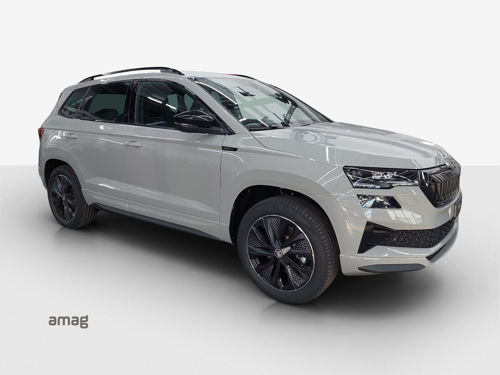 SKODA Karoq «Dynamic» Limited Edition (Netto), Petrol, New car, Automatic - 6