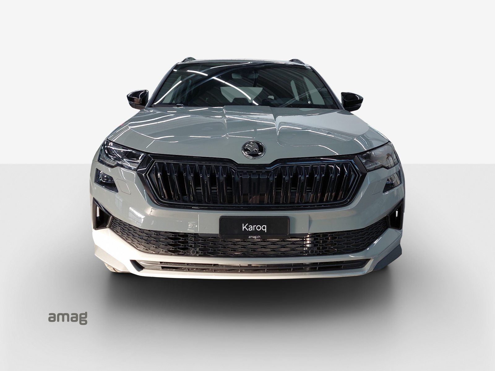 SKODA Karoq «Dynamic» Limited Edition (Netto), Petrol, New car, Automatic - 7