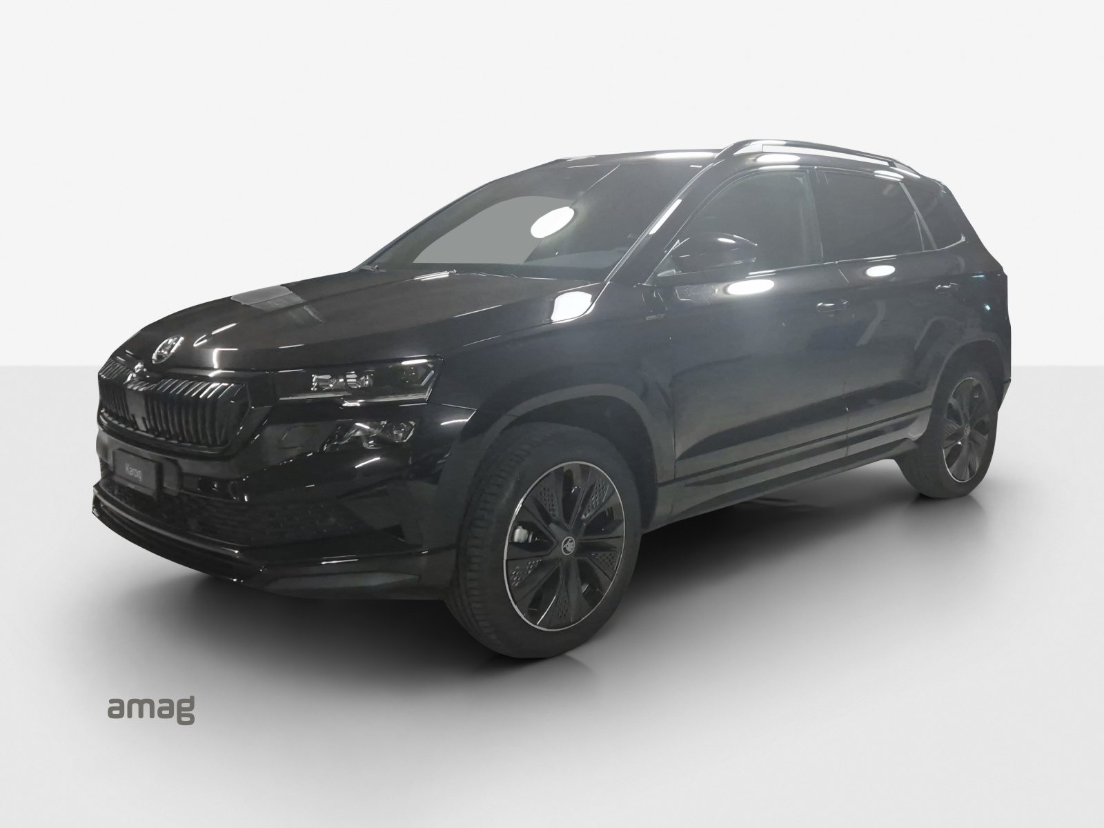 SKODA Karoq «Dynamic» Limited Edition (Netto)