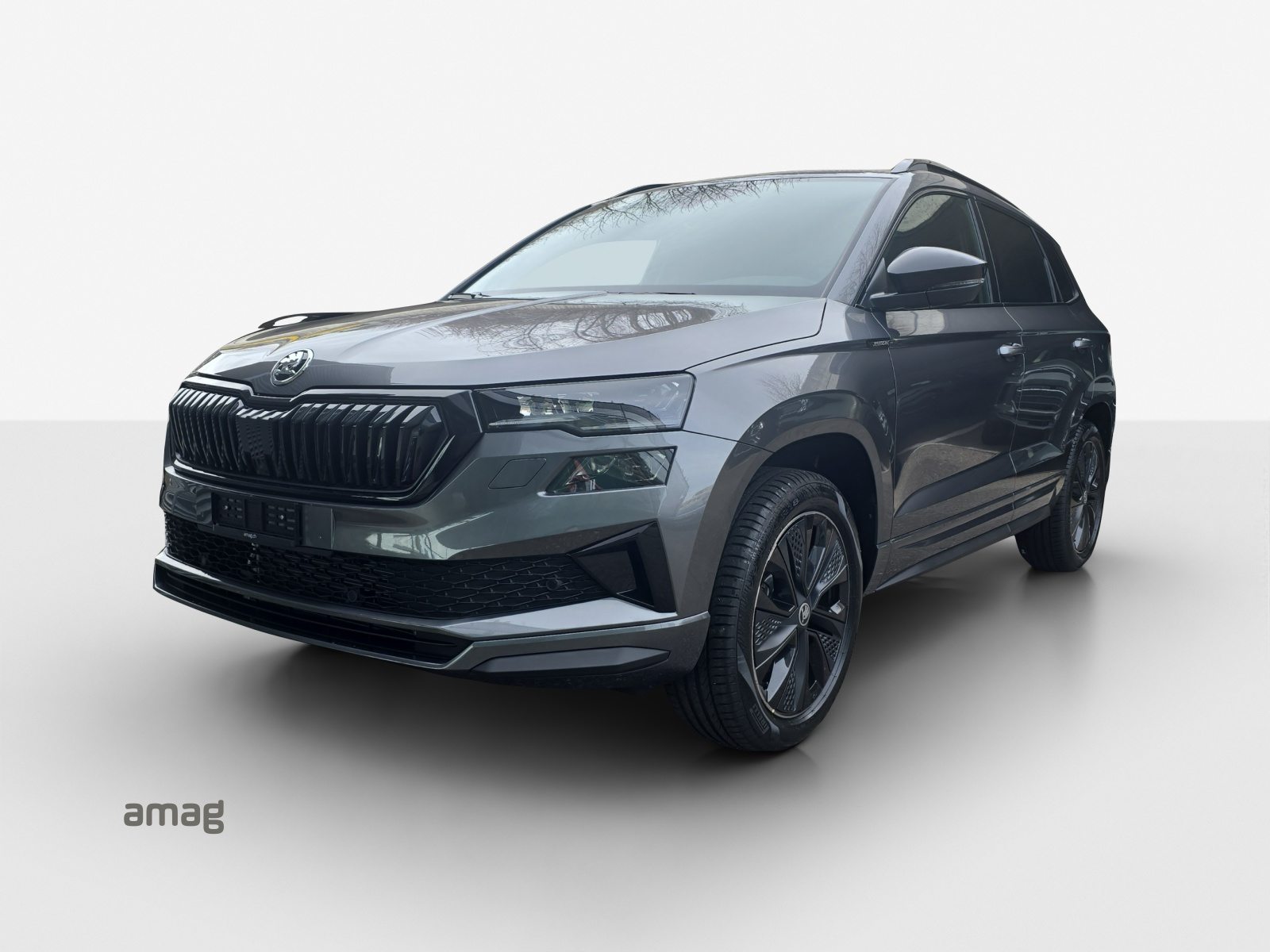 SKODA Karoq «Dynamic» Limited Edition (Netto)