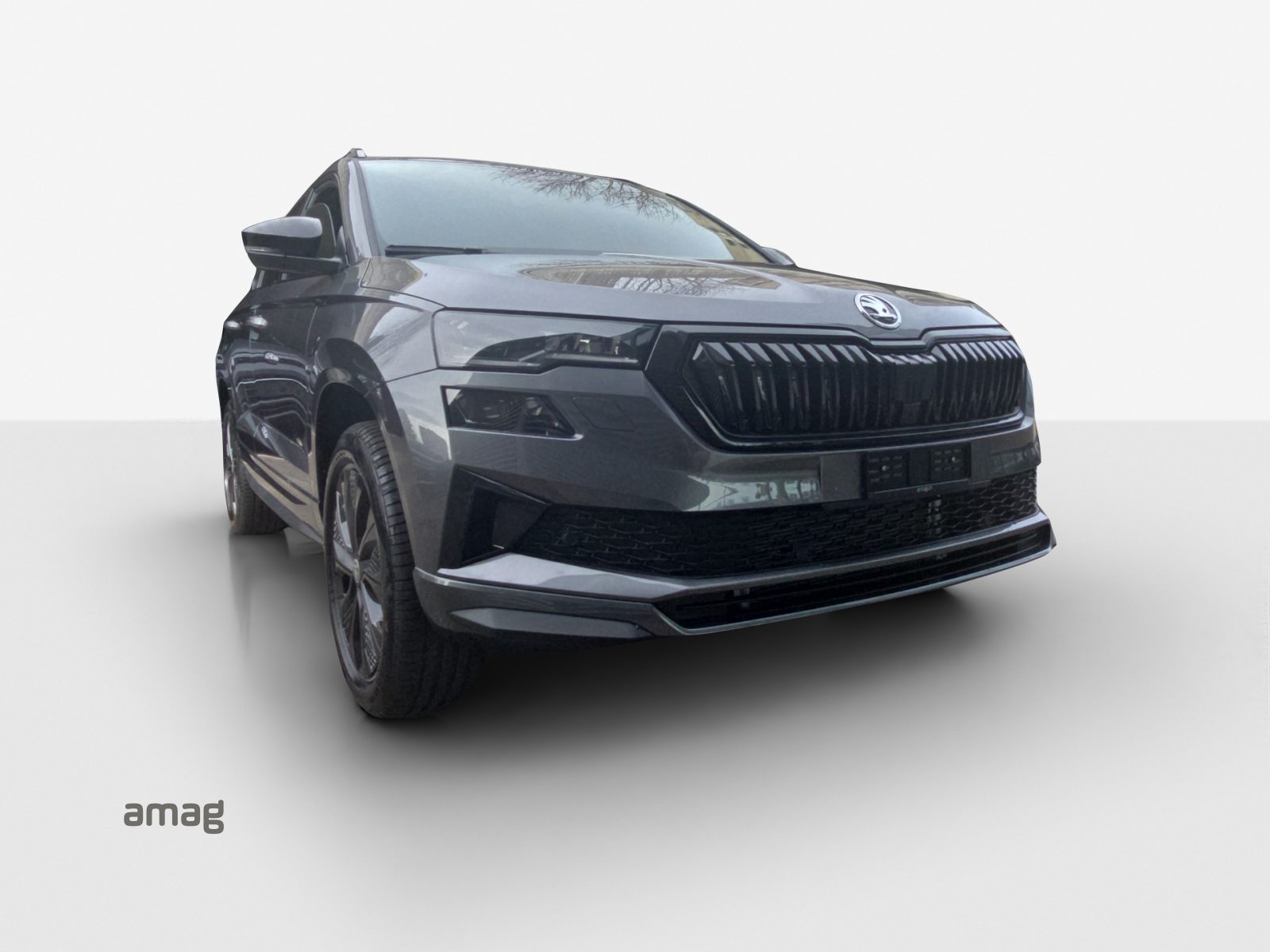 SKODA Karoq «Dynamic» Limited Edition (Netto), Benzin, Neuwagen, Automatik - 6