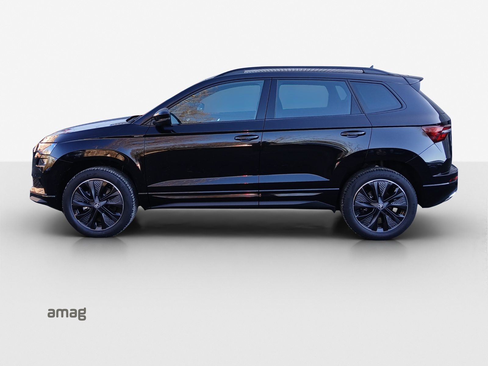 SKODA Karoq «Dynamic» Limited Edition (Netto), Petrol, New car, Automatic - 2