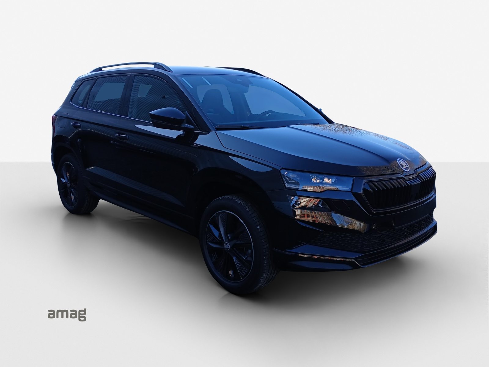 SKODA Karoq «Dynamic» Limited Edition (Netto), Petrol, New car, Automatic - 6