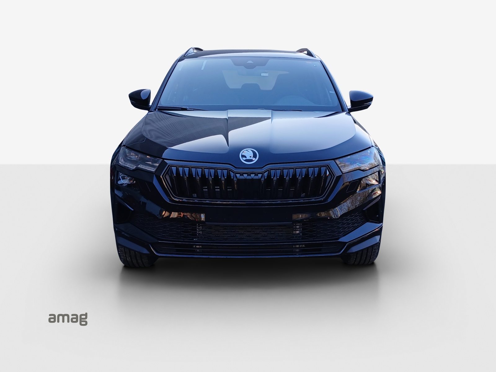 SKODA Karoq «Dynamic» Limited Edition (Netto), Petrol, New car, Automatic - 7