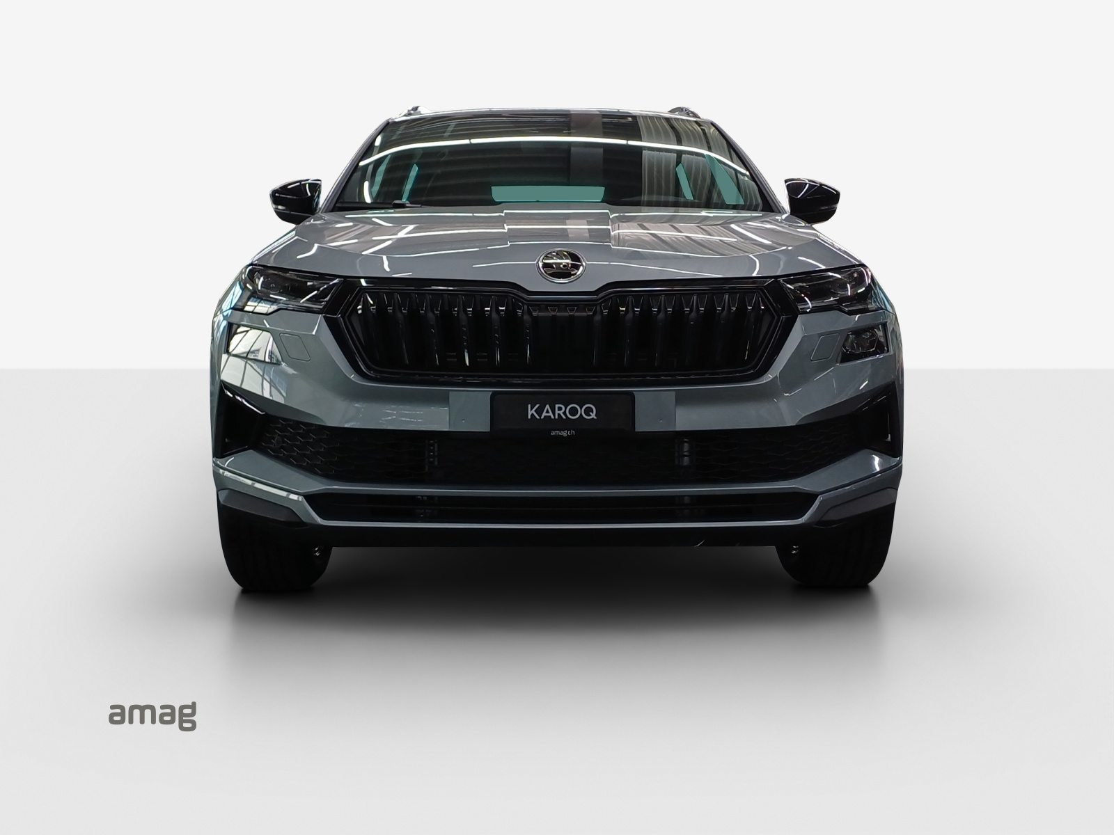 SKODA Karoq «Dynamic» Limited Edition (Netto), Benzin, Neuwagen, Automatik - 7