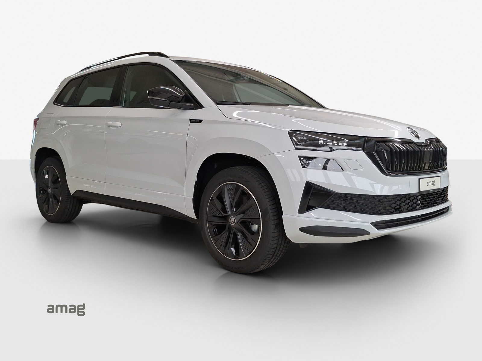 SKODA Karoq «Dynamic» Limited Edition (Netto), Benzin, Neuwagen, Automatik - 6