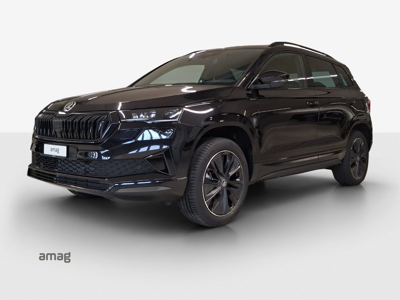 SKODA Karoq «Dynamic» Limited Edition (Netto)