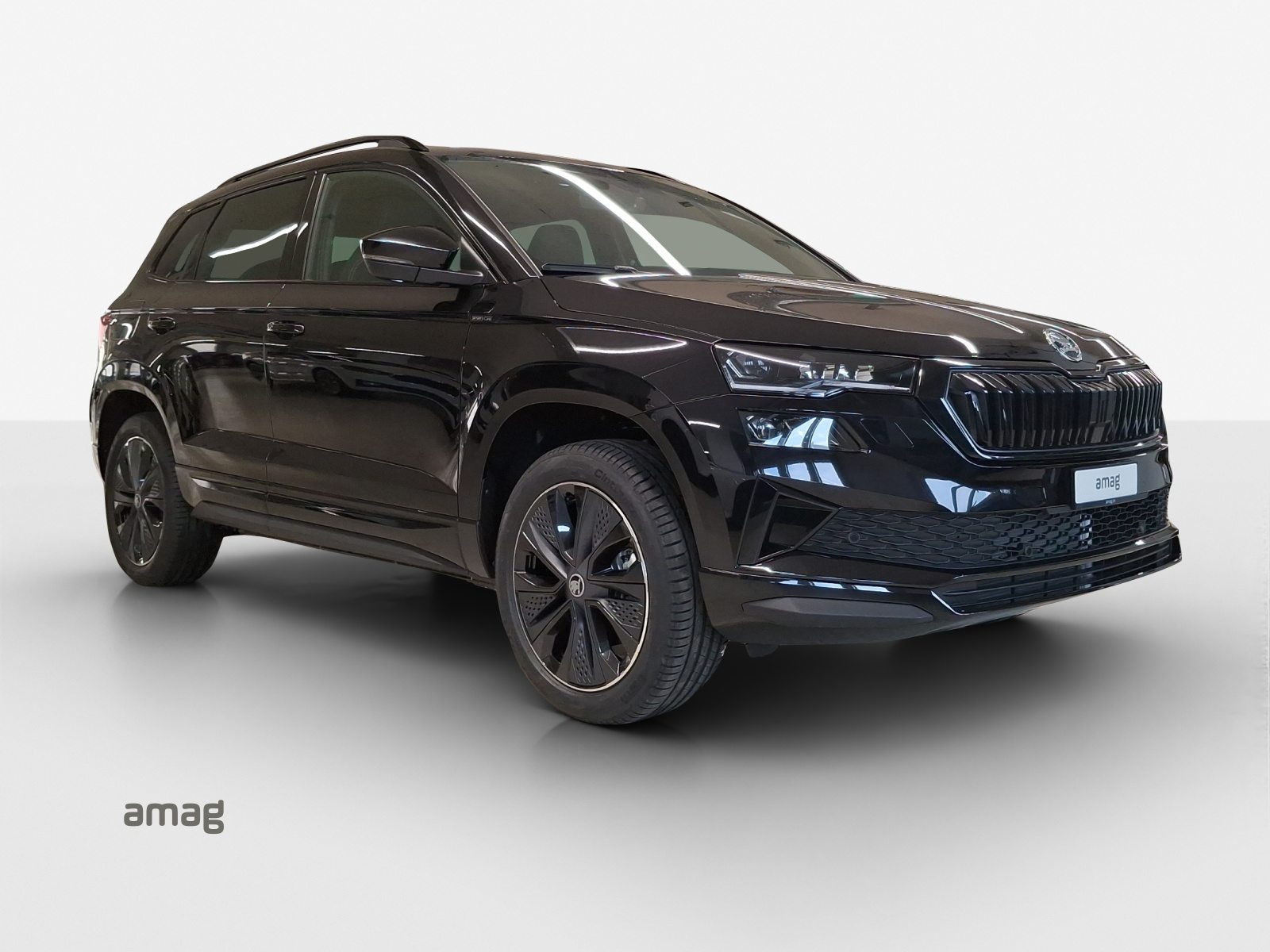 SKODA Karoq «Dynamic» Limited Edition (Netto), Benzin, Neuwagen, Automatik - 6