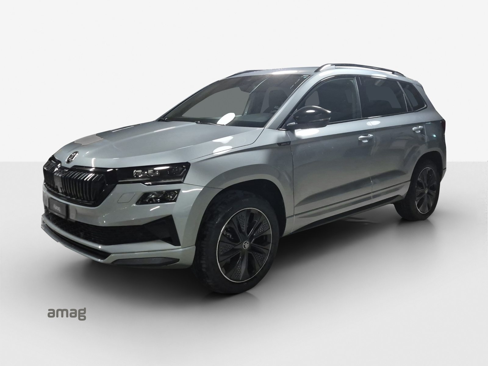 SKODA Karoq «Dynamic» Limited Edition (Netto)