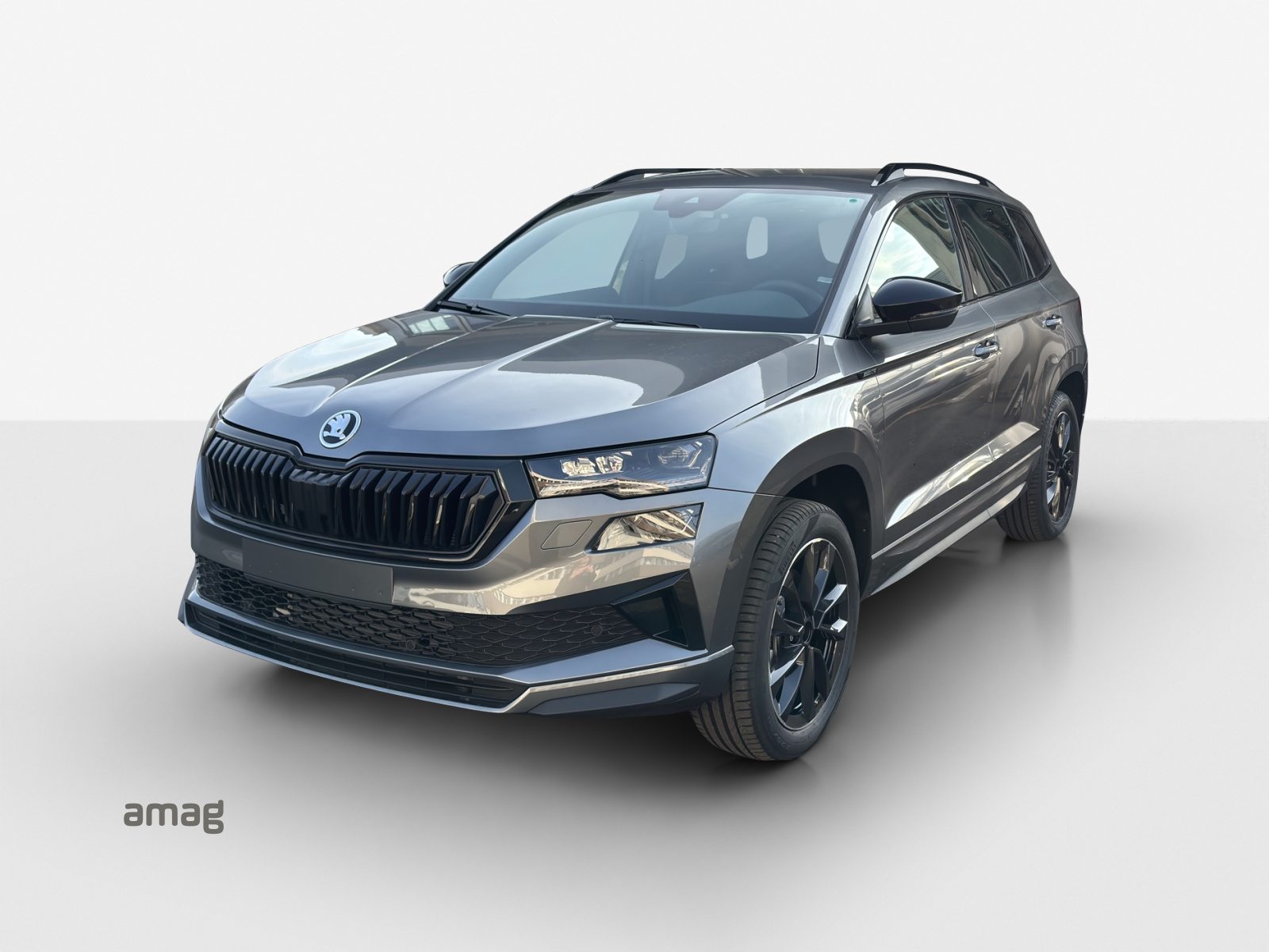 SKODA Karoq «Dynamic» Limited Edition (Netto)