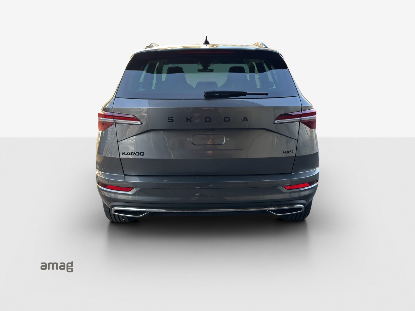 SKODA Karoq «Dynamic» Limited Edition (Netto), Petrol, New car, Automatic - 4