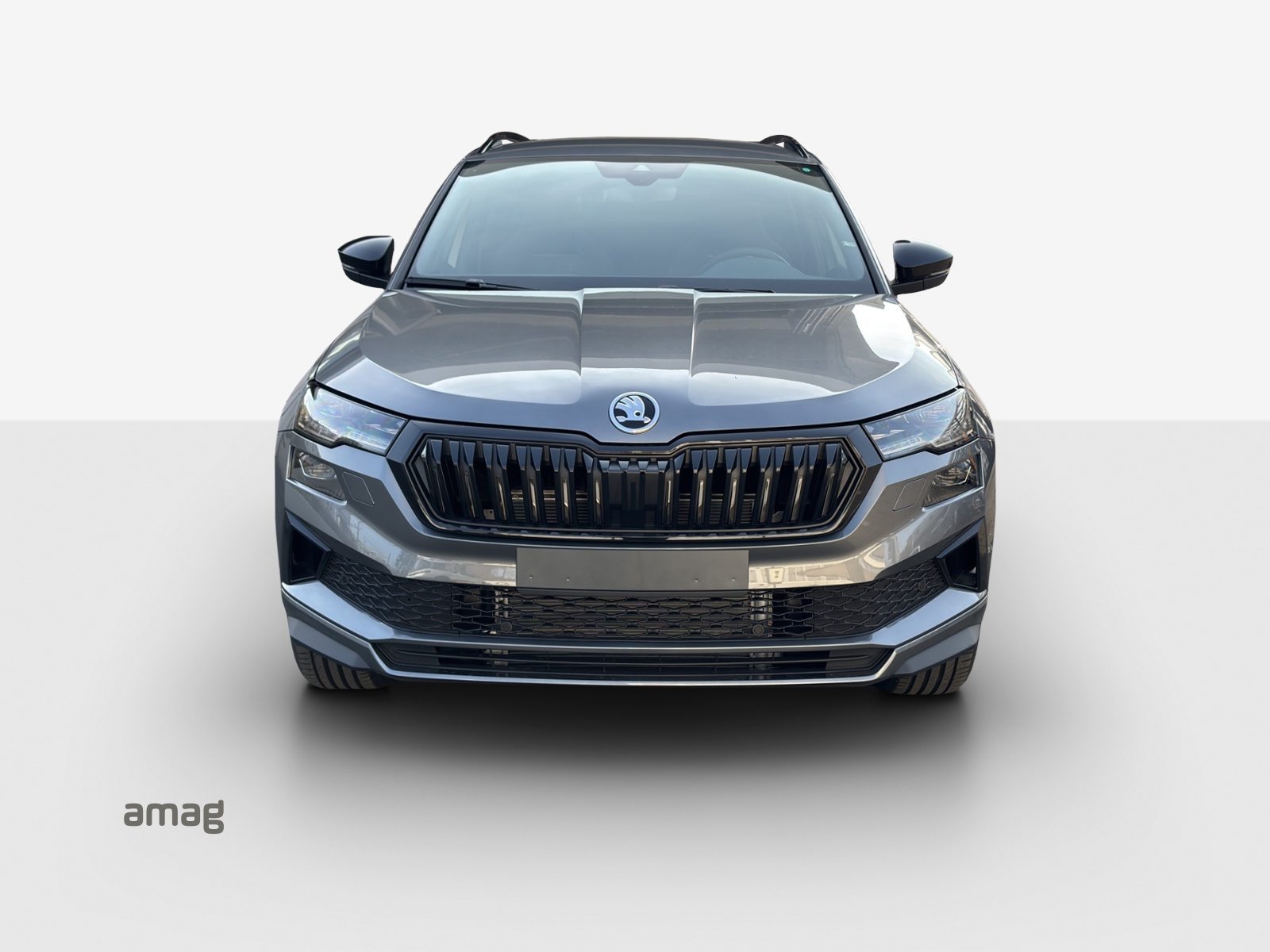 SKODA Karoq «Dynamic» Limited Edition (Netto), Petrol, New car, Automatic - 7