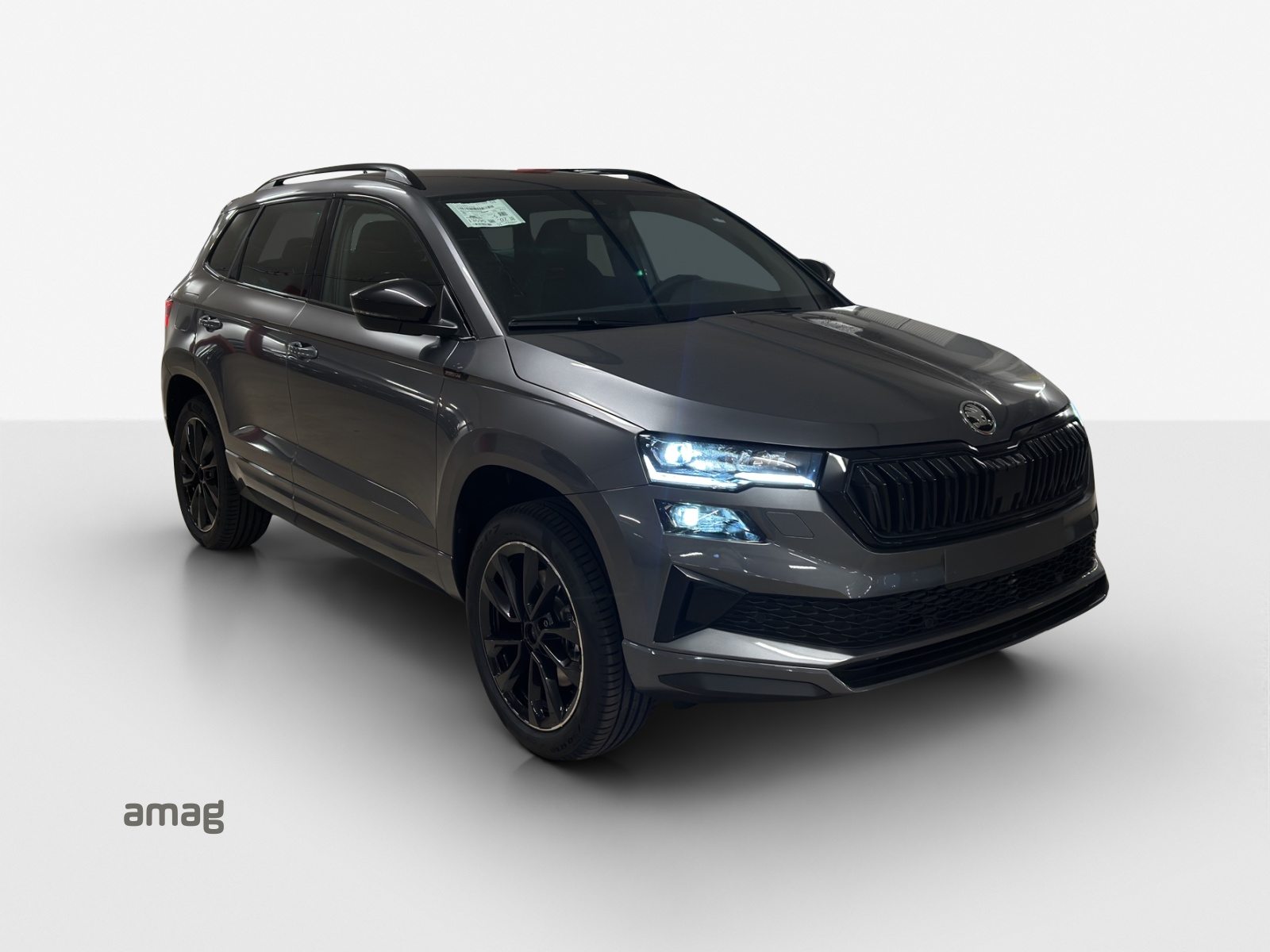 SKODA Karoq «Dynamic» Limited Edition (Netto), Benzin, Neuwagen, Automatik - 6