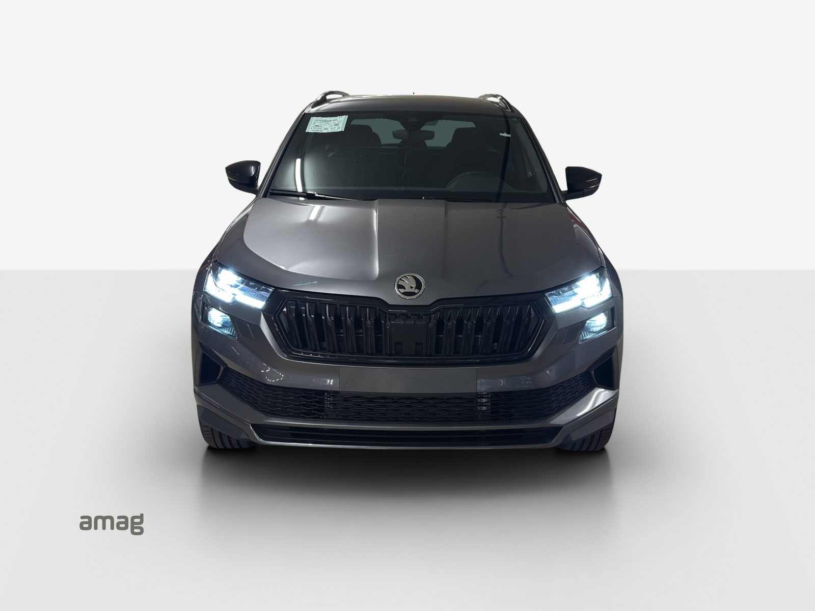 SKODA Karoq «Dynamic» Limited Edition (Netto), Benzin, Neuwagen, Automatik - 7