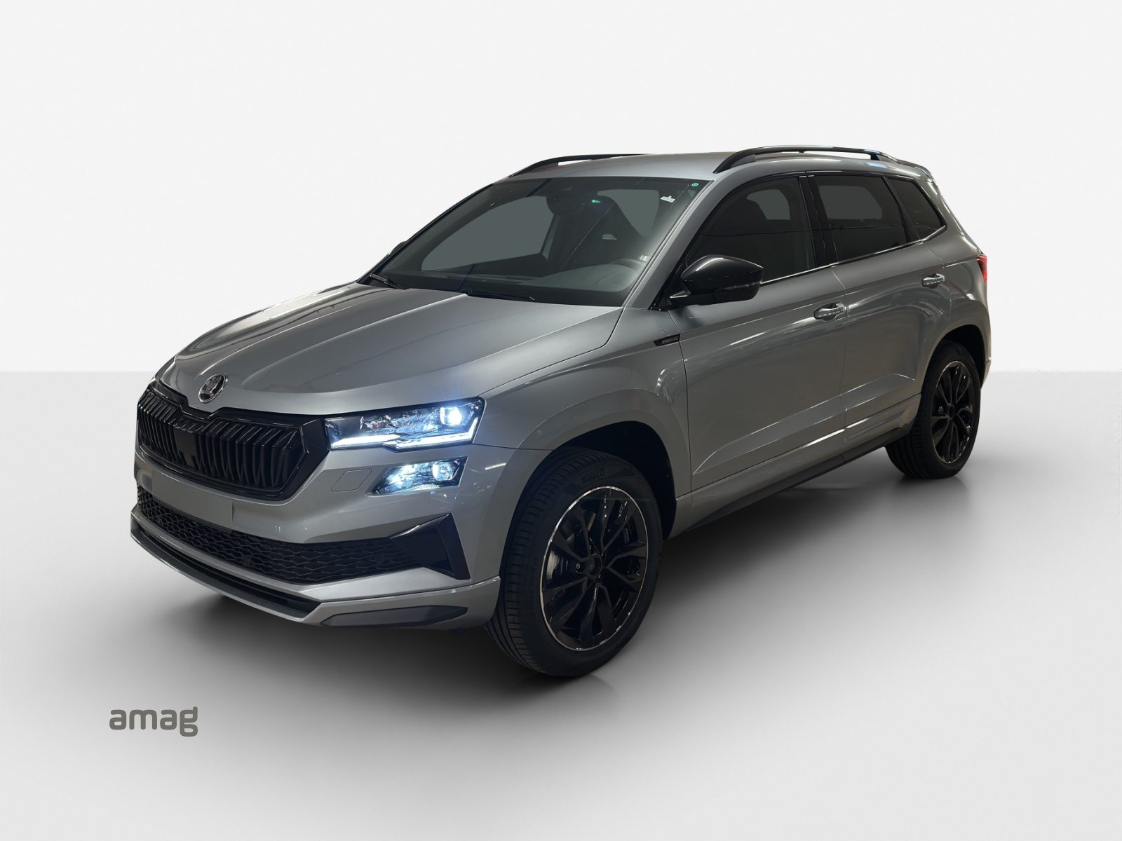 SKODA Karoq «Dynamic» Limited Edition (Netto)