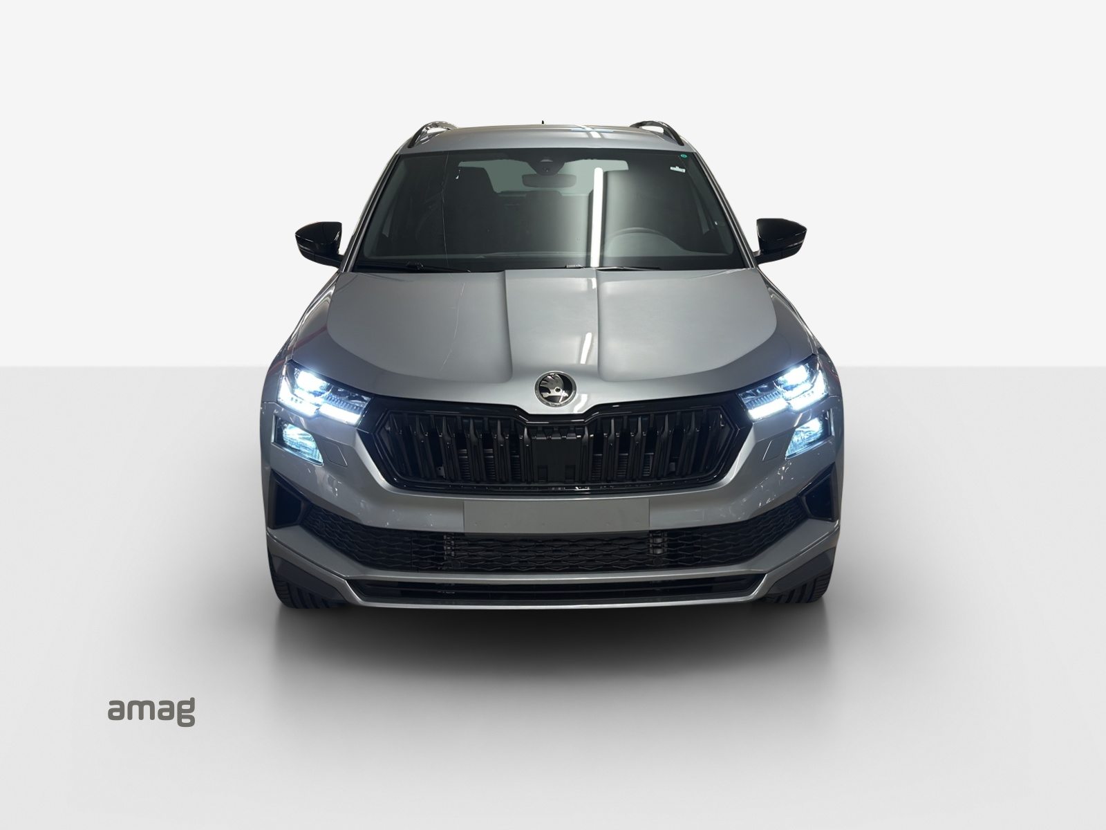SKODA Karoq «Dynamic» Limited Edition (Netto), Benzina, Auto nuove, Automatico - 7