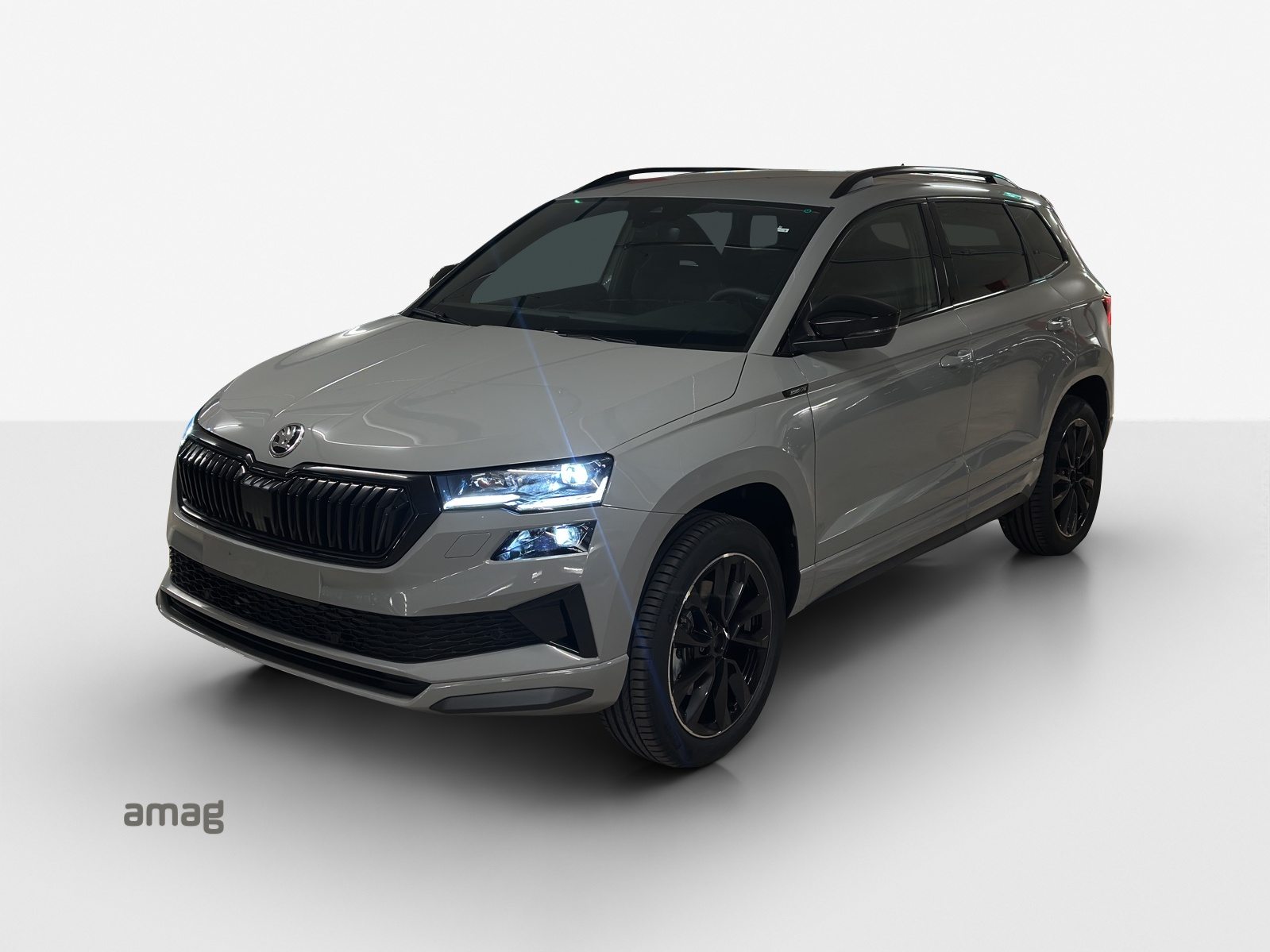 SKODA Karoq «Dynamic» Limited Edition (Netto)