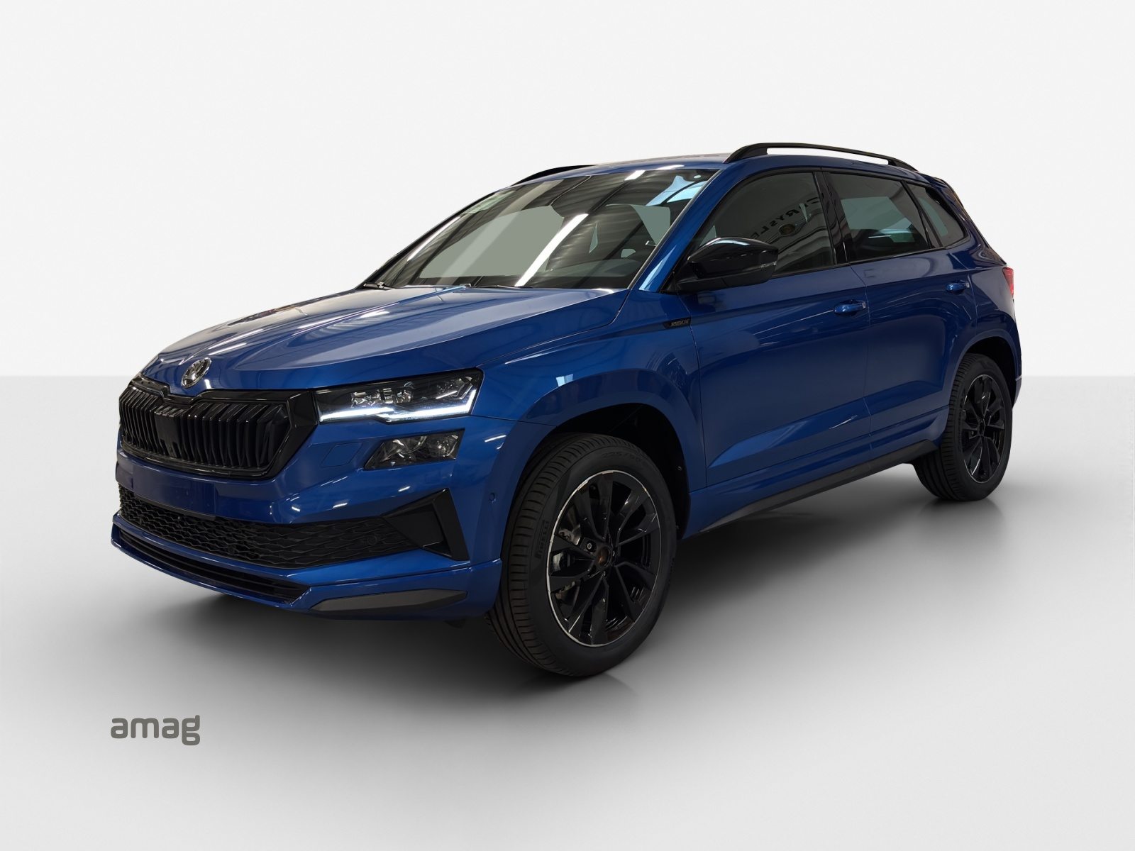SKODA Karoq «Dynamic» Limited Edition (Netto)